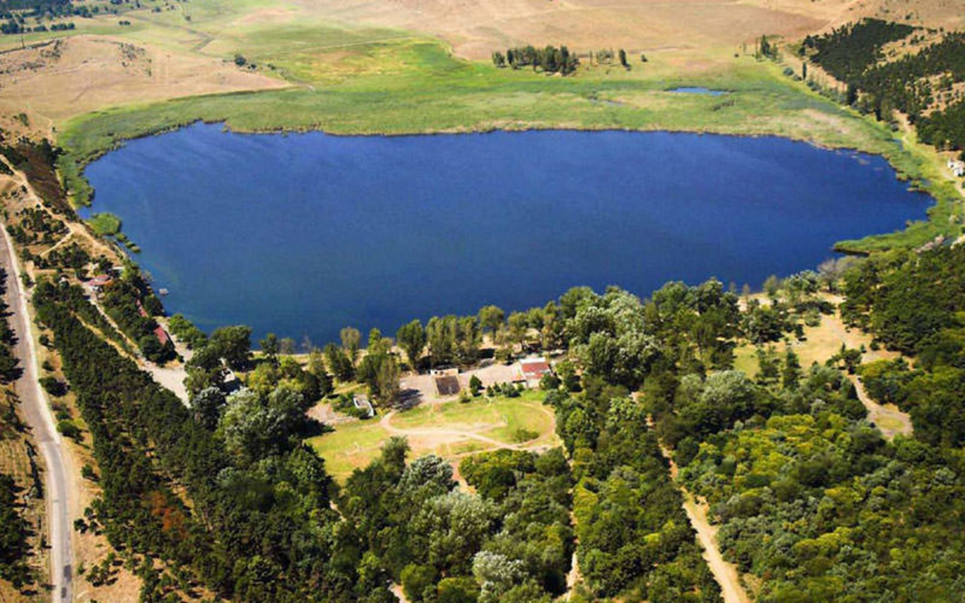 دریاچه لیسی