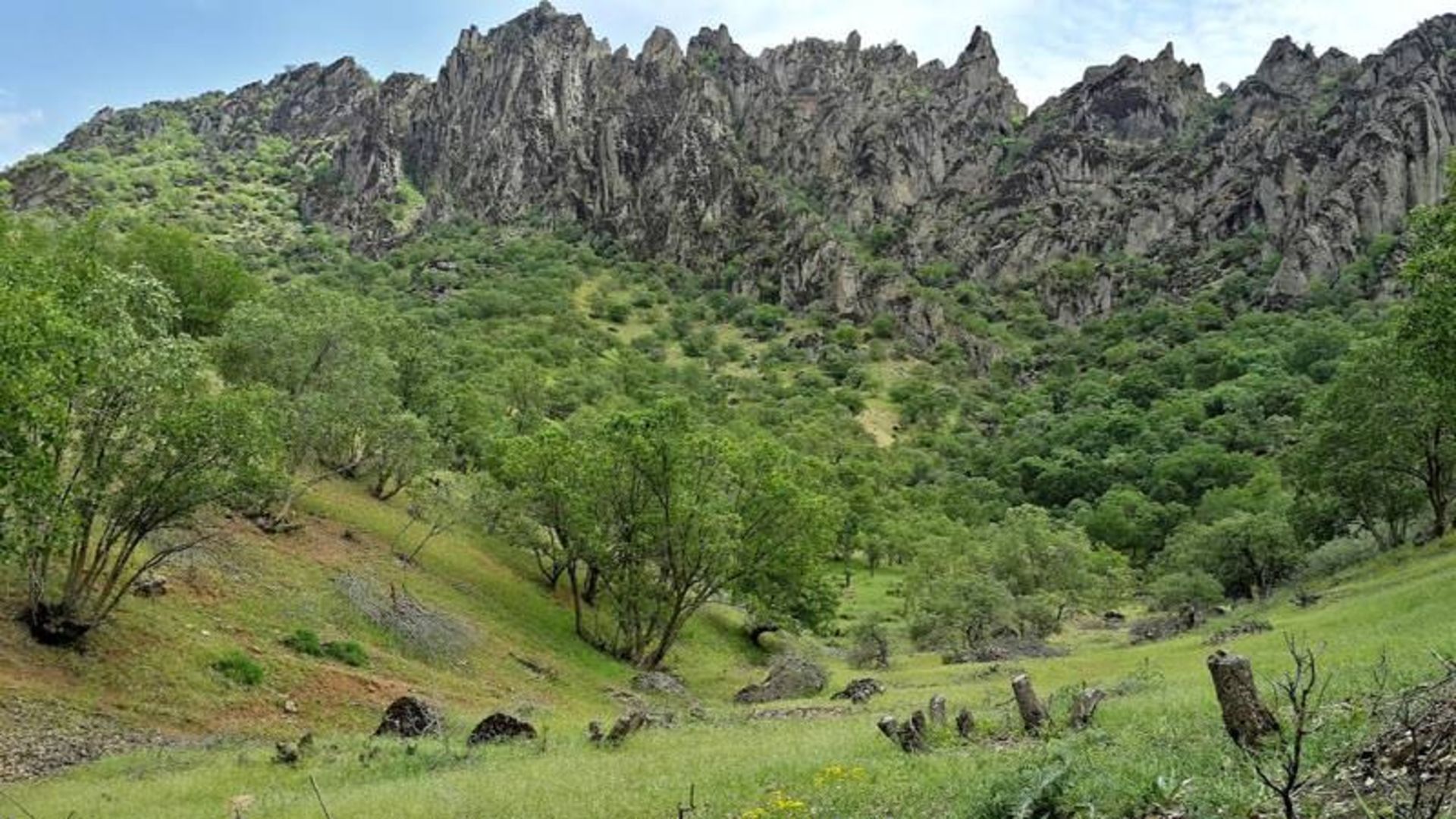 عکاسباشی