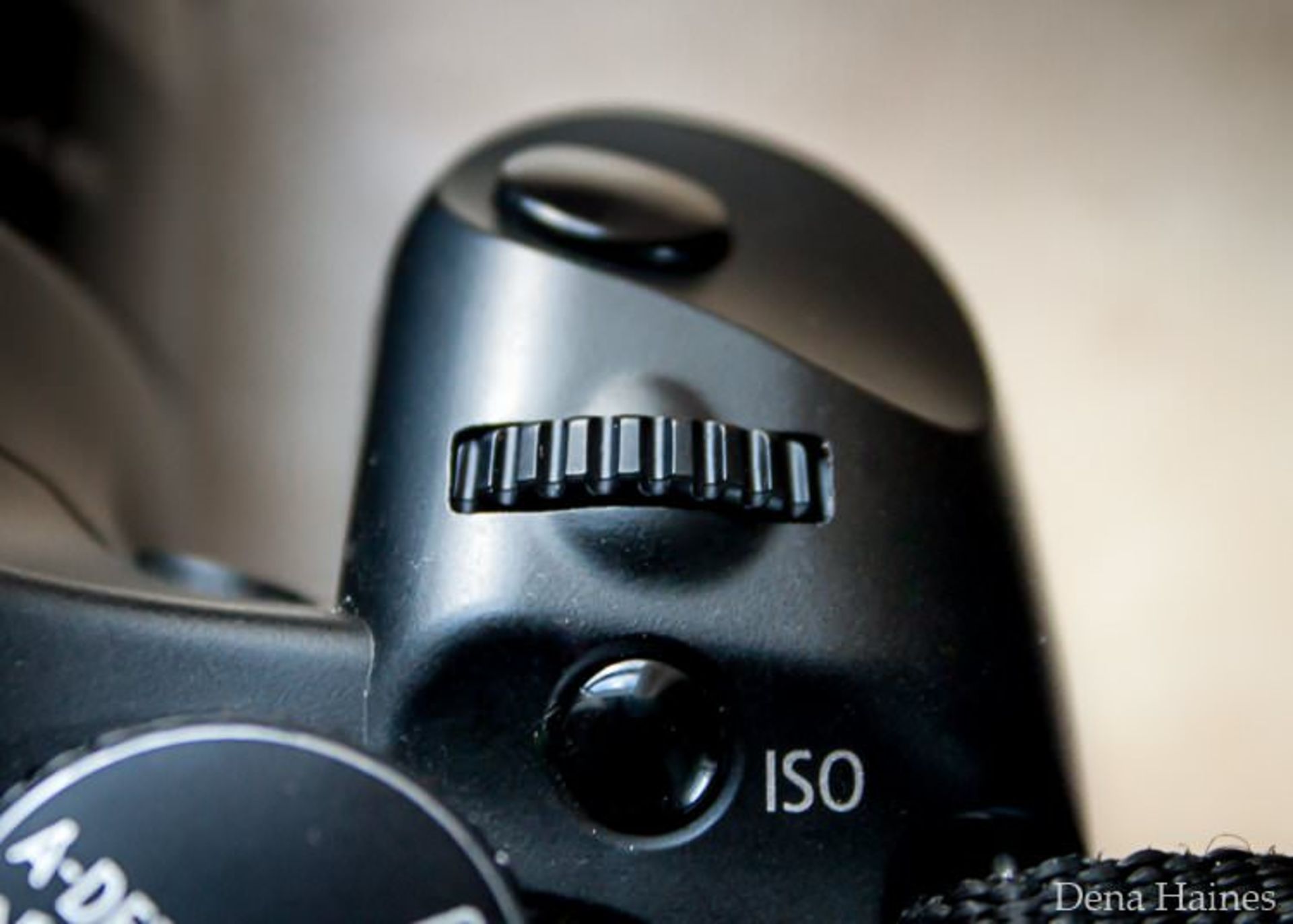 canon-iso-setting