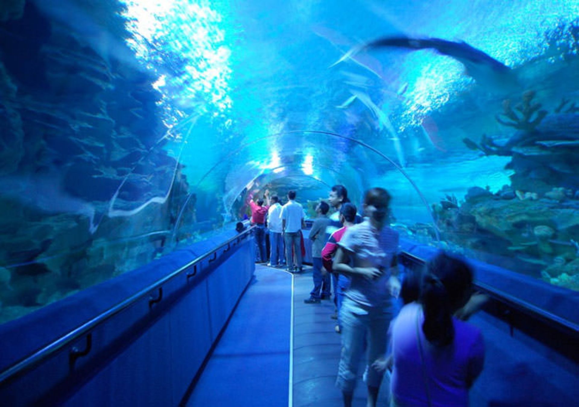 Aquaria