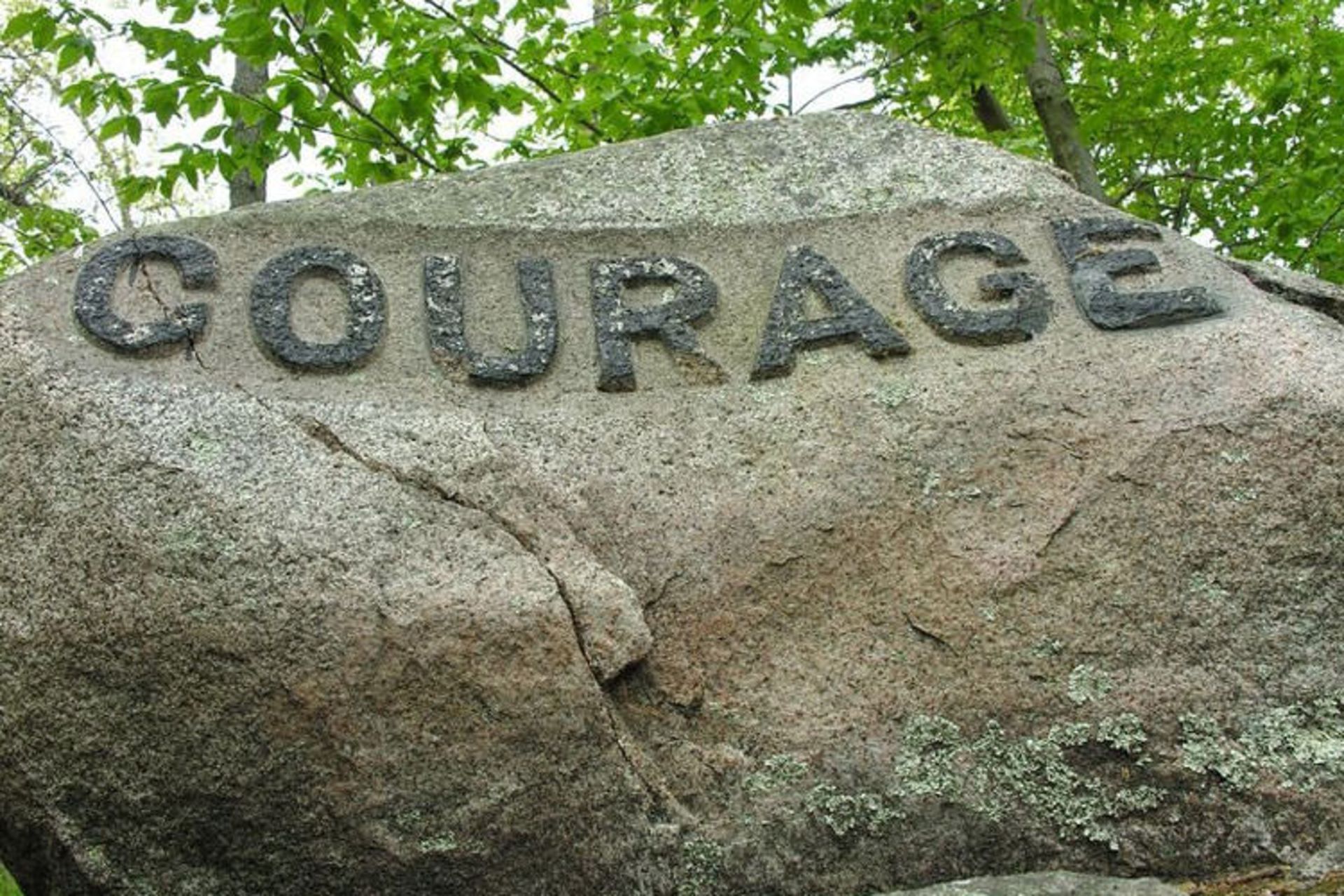 The Babson Boulders Of Dogtown