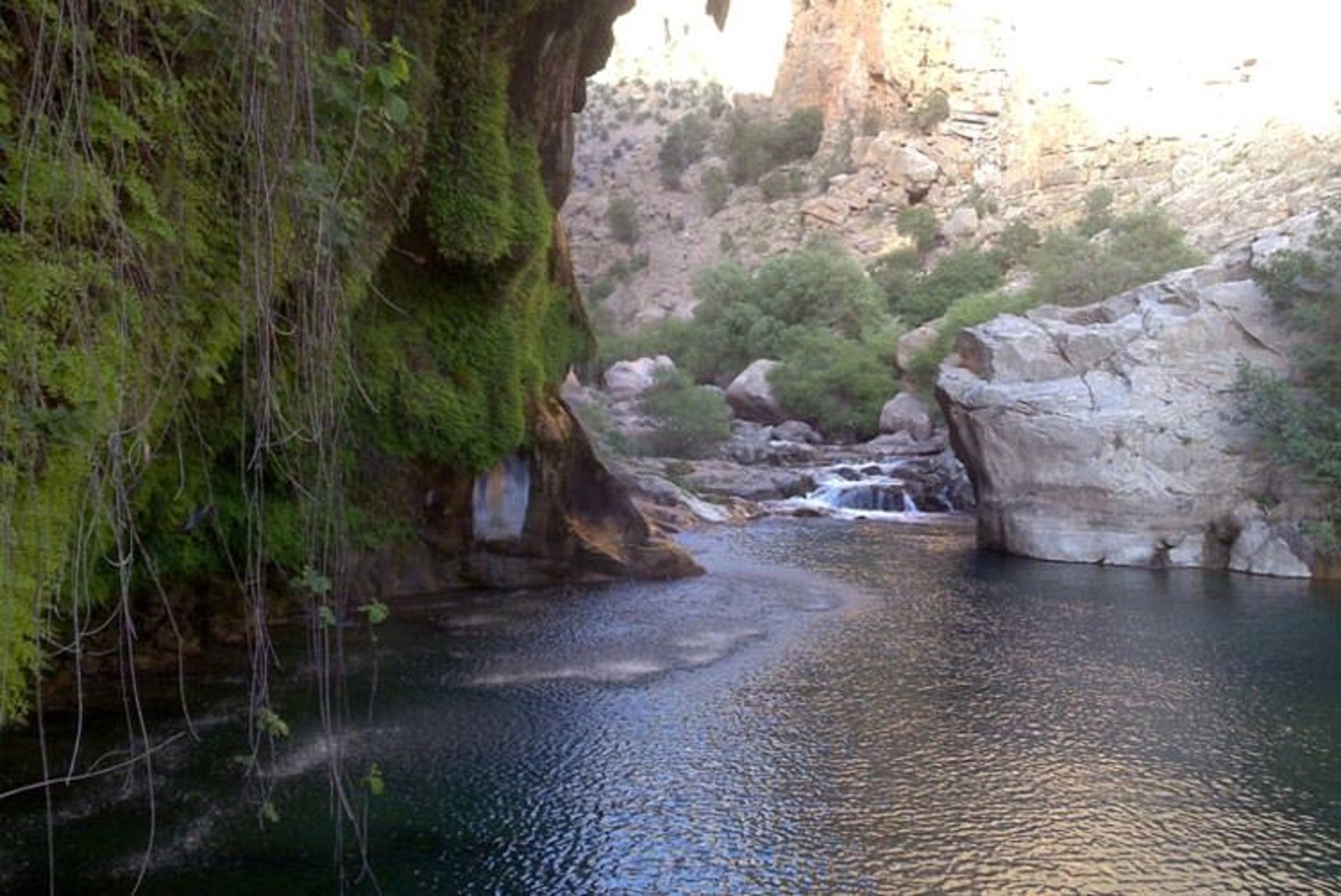 tang-boraq