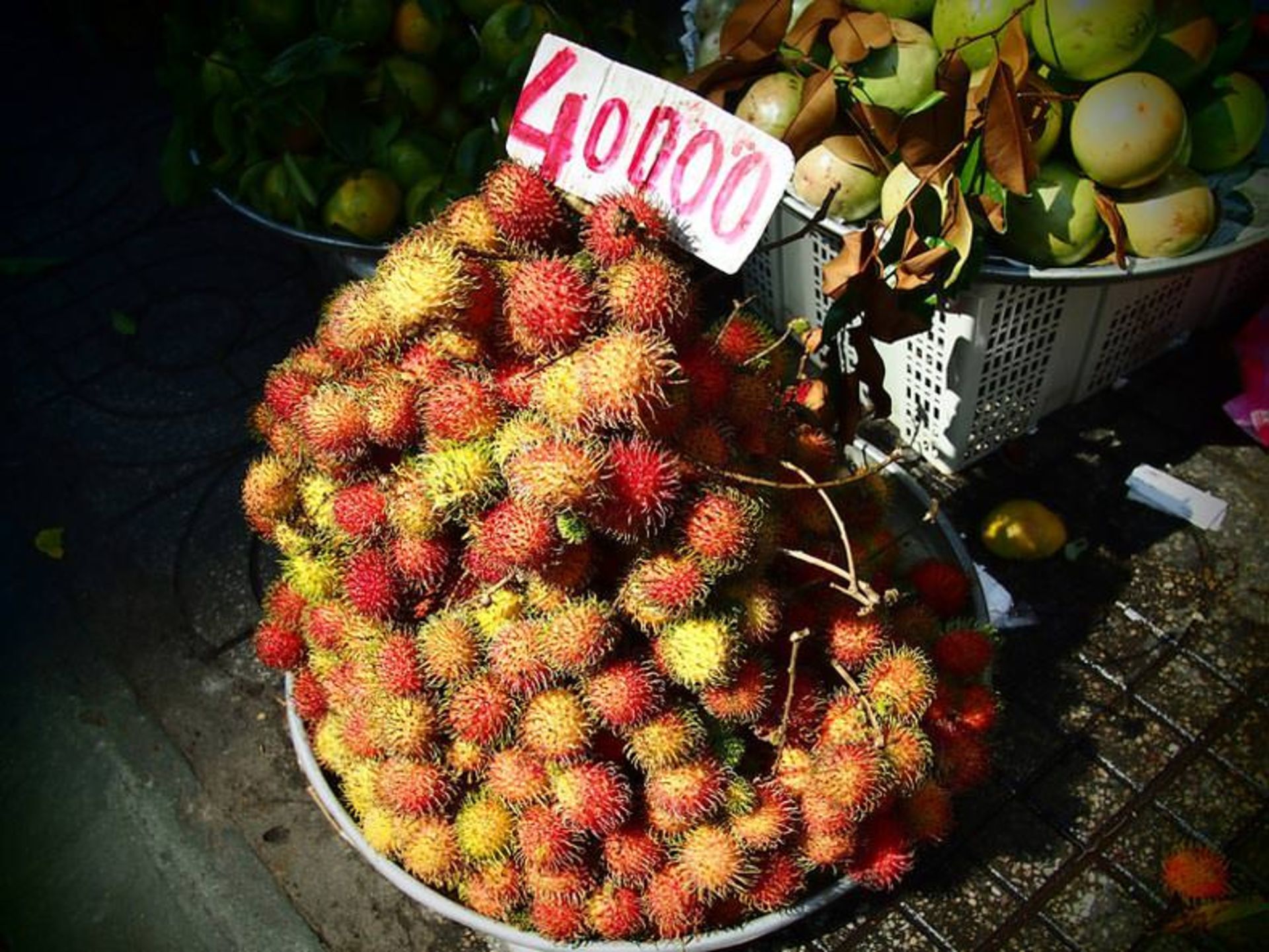 مژکی، میوه‌ی پشمالو