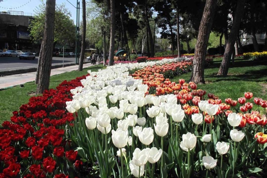 پارک شریعتی
