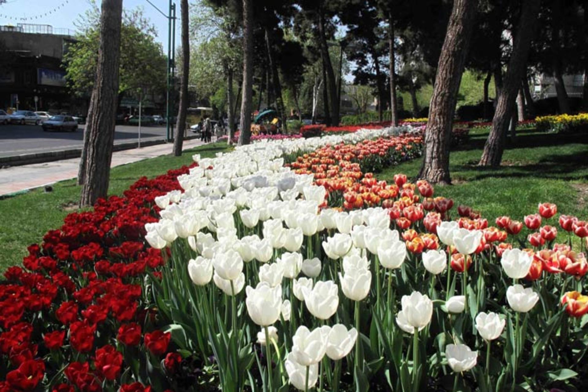 پارک شریعتی