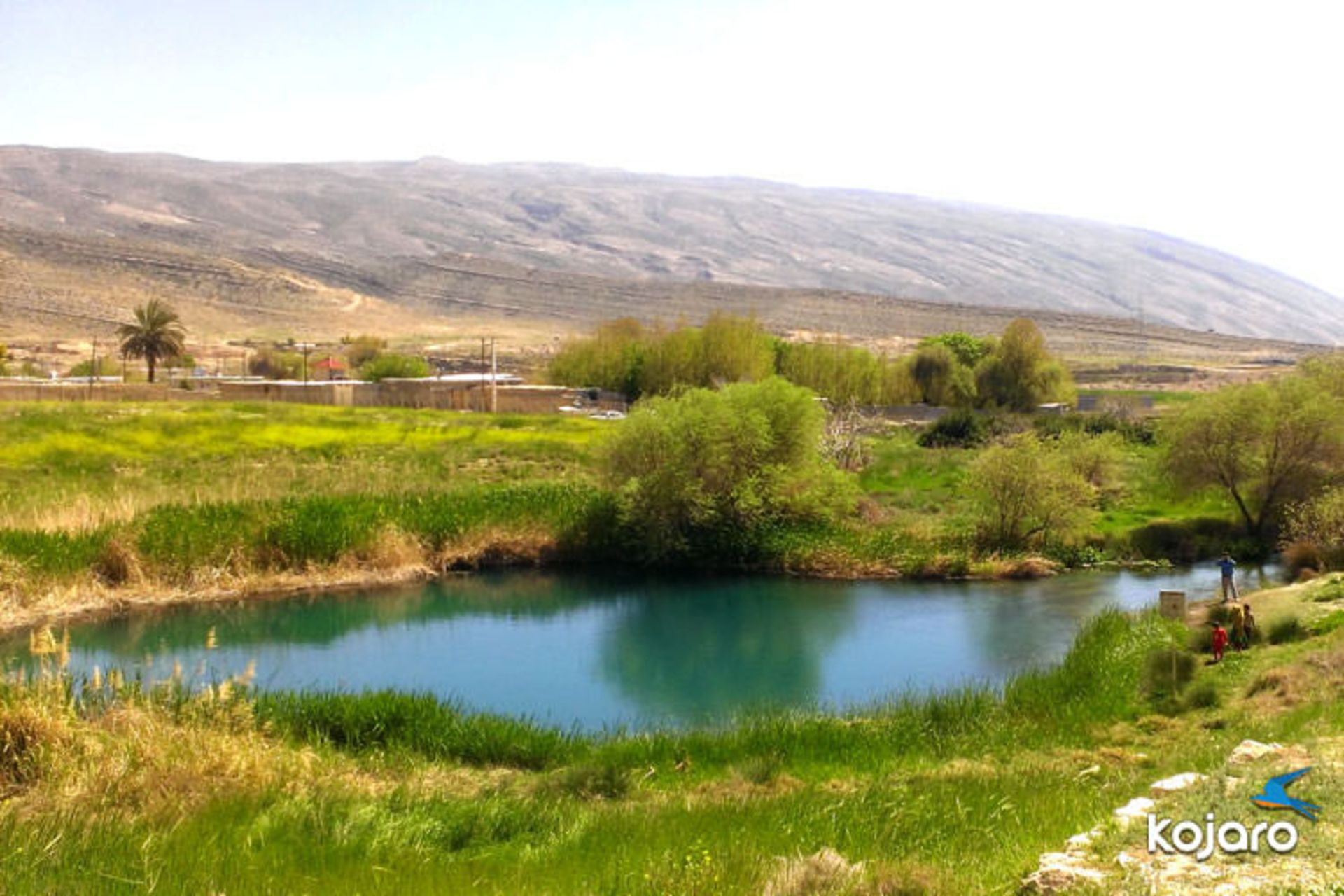 babakan-palace-pool