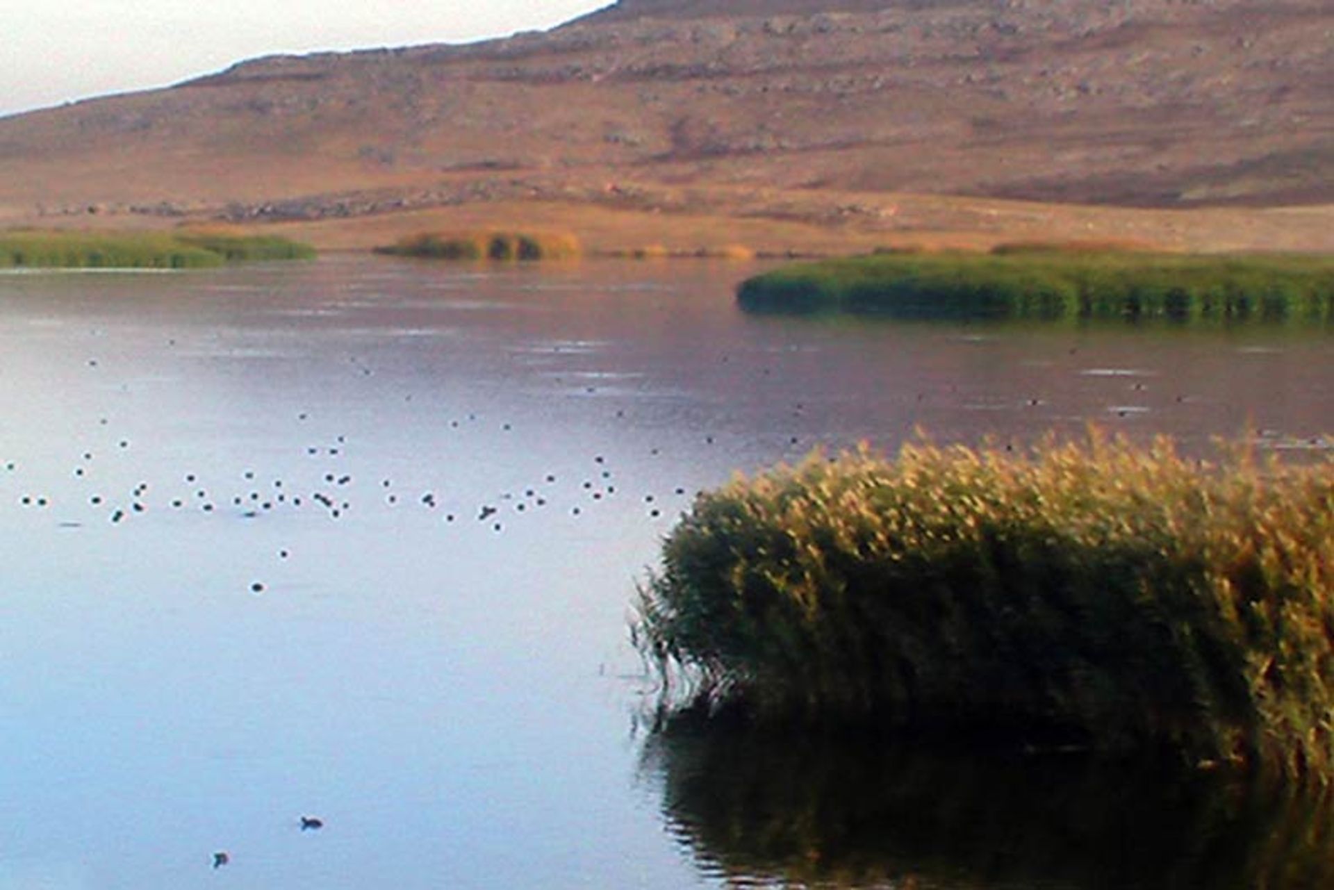 تالاب