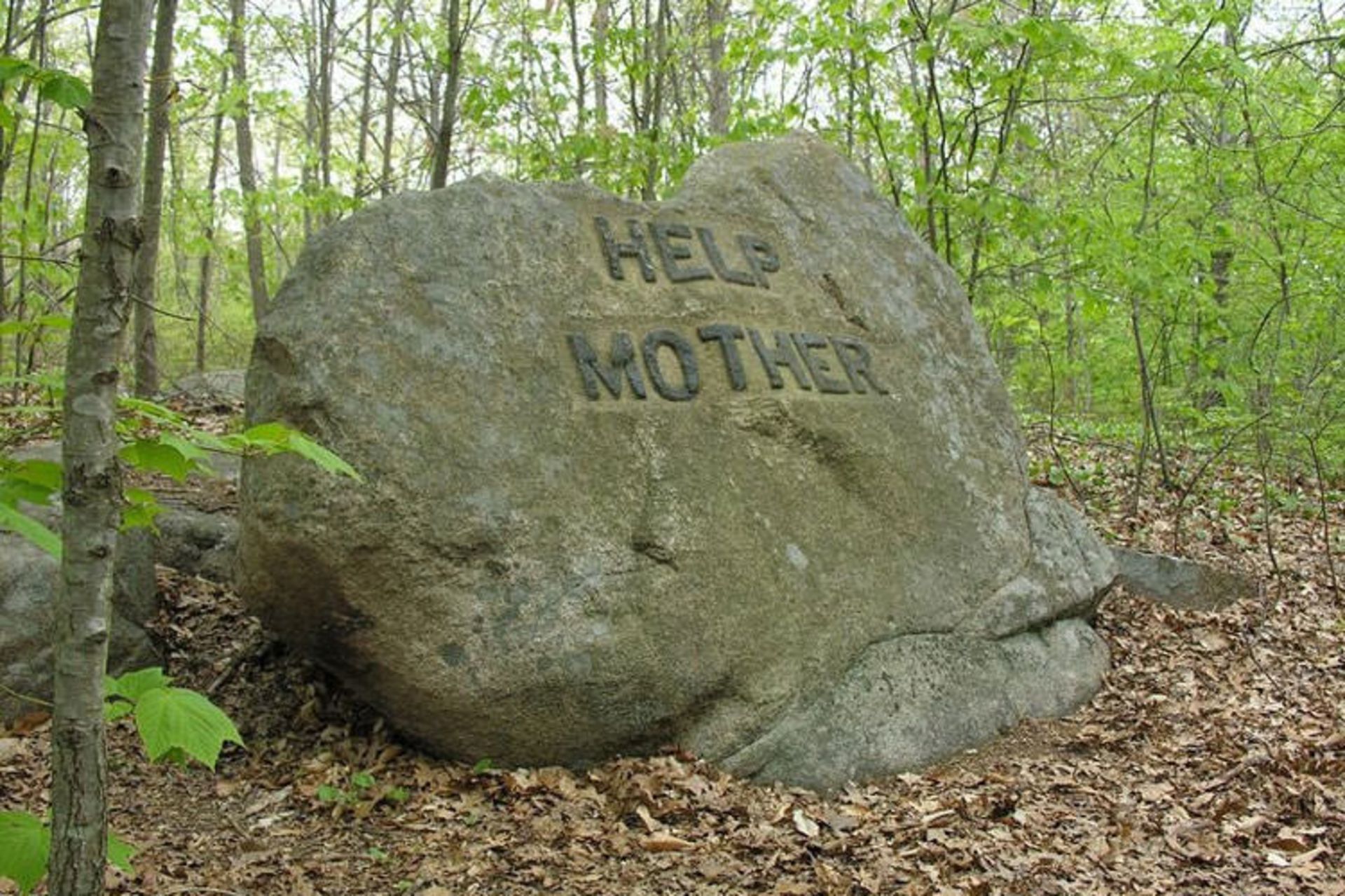 The Babson Boulders Of Dogtown