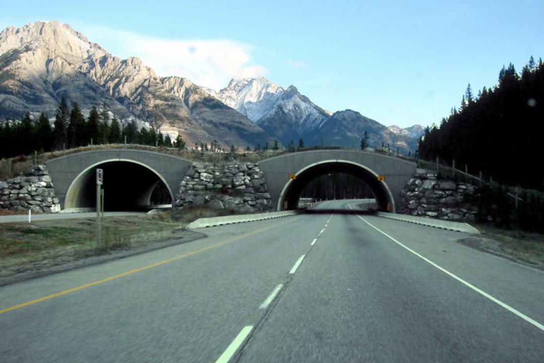بزرگراه Trans Canada