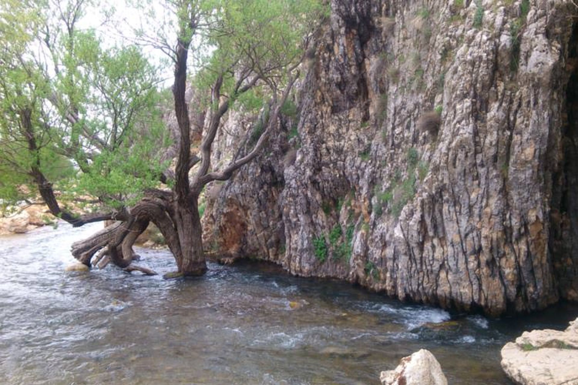 nature-fars-province