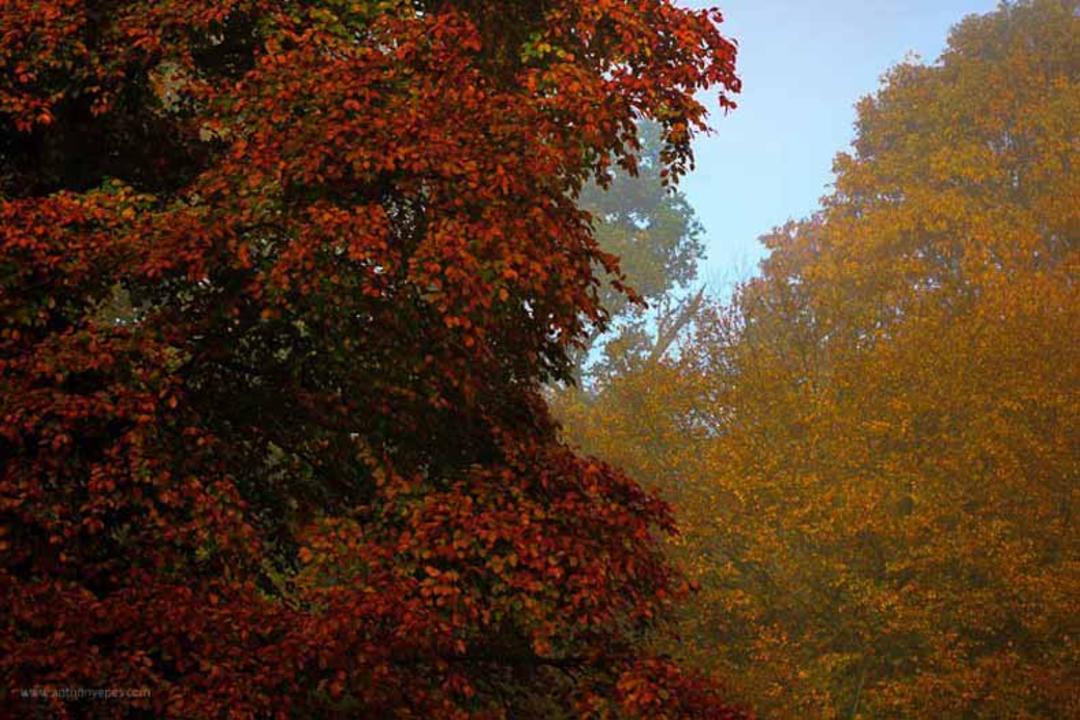 عکاسی خلاقانه
