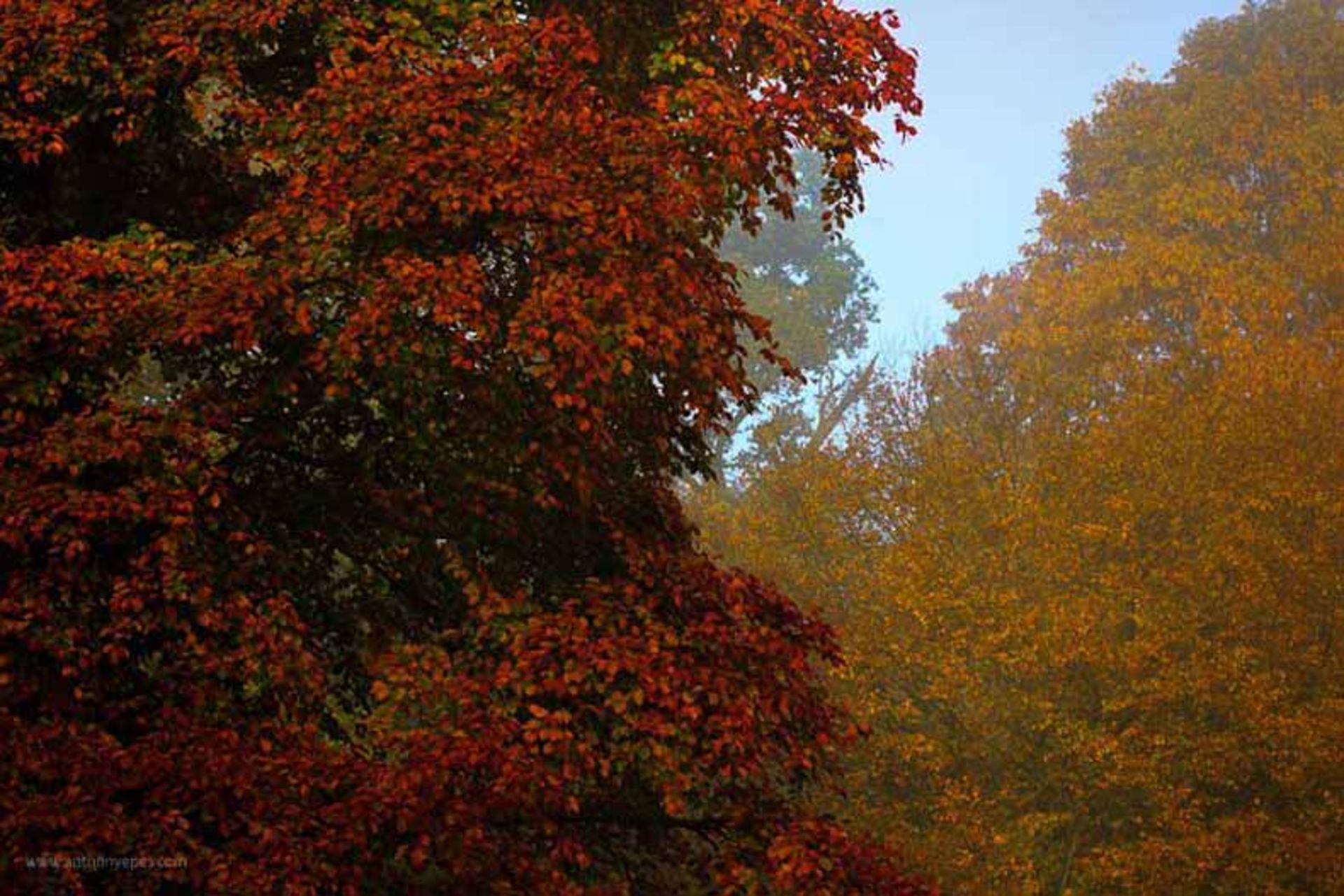 عکاسی خلاقانه
