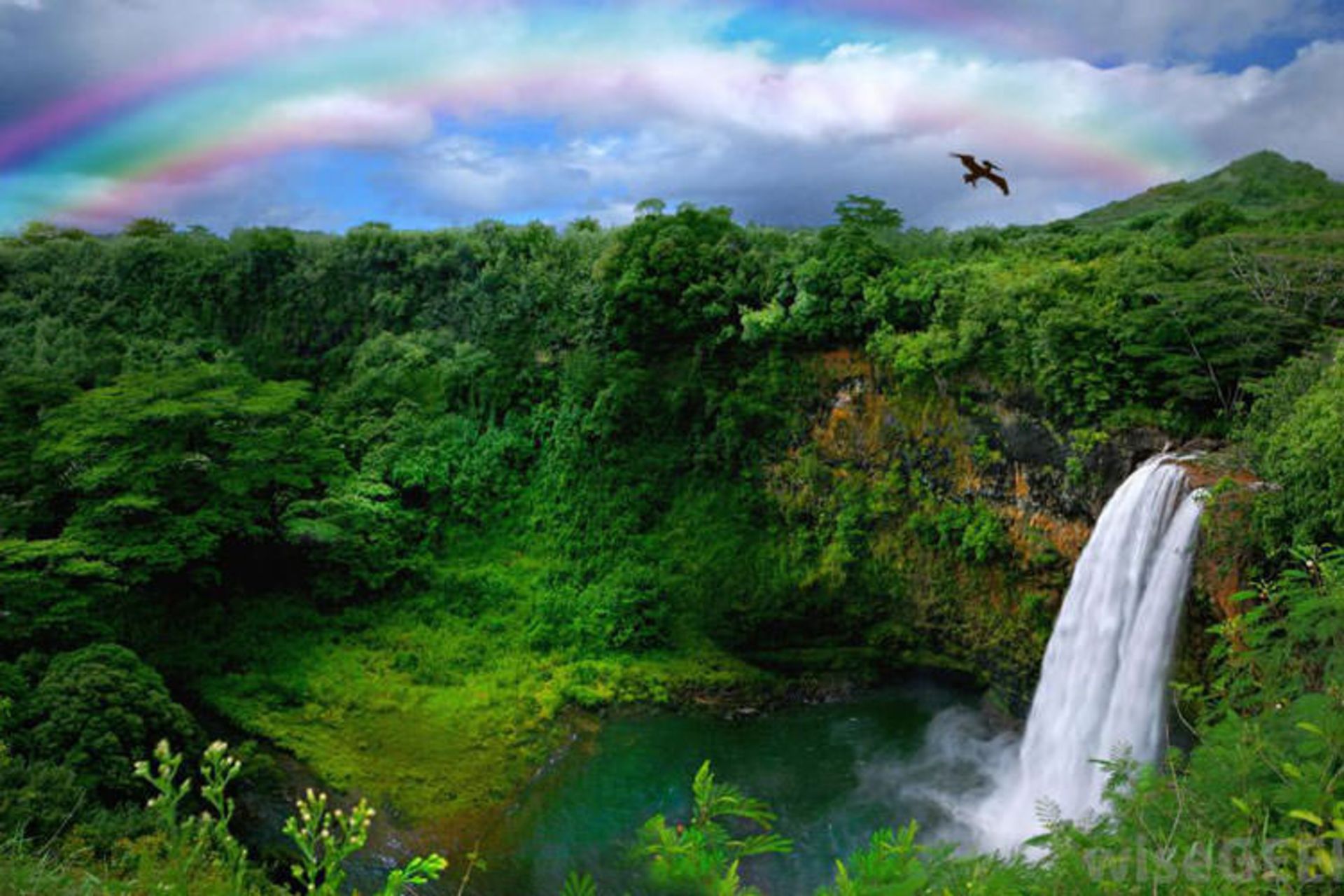 The happiest, healthiest state in the US ‎