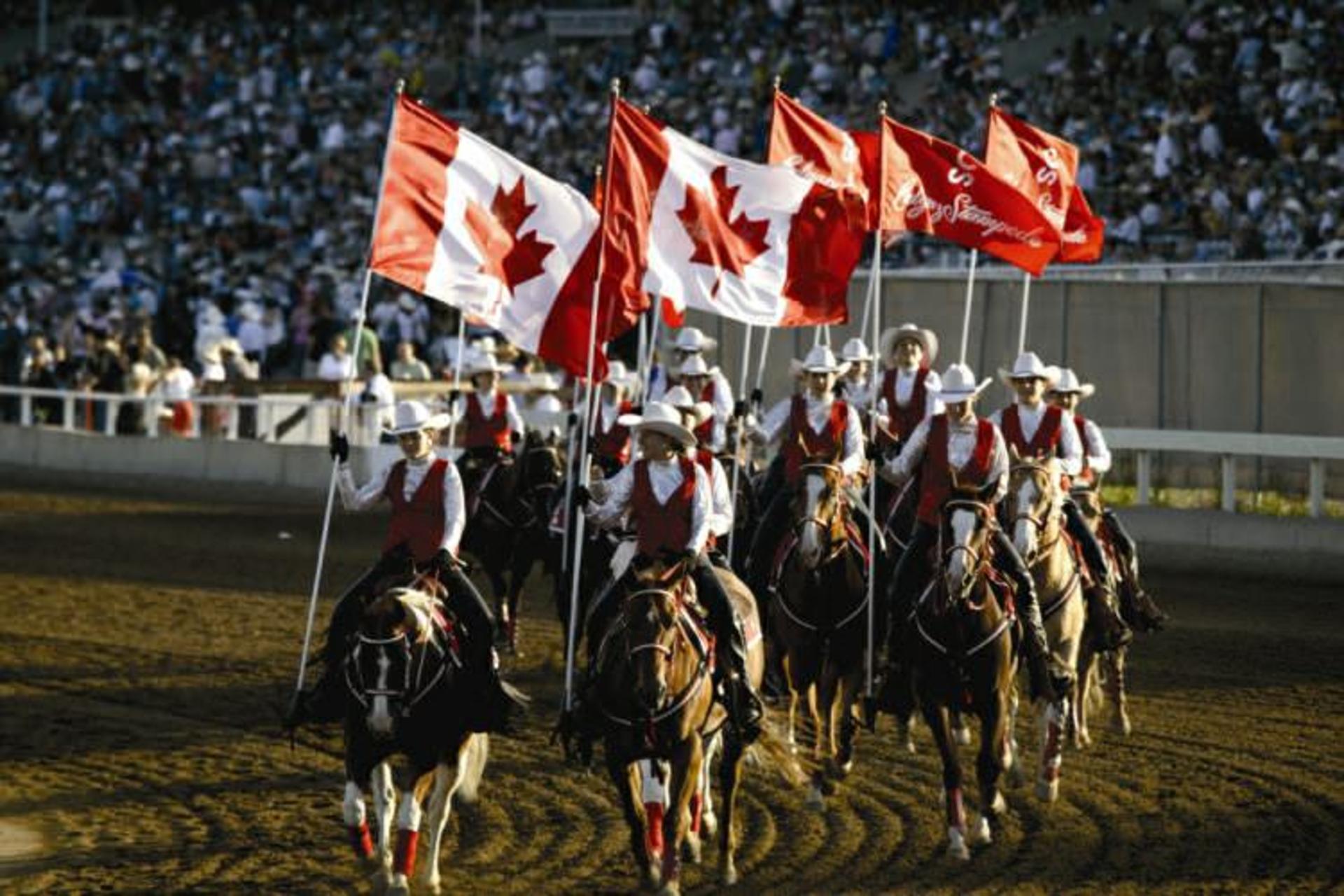  فستیوال Stampede