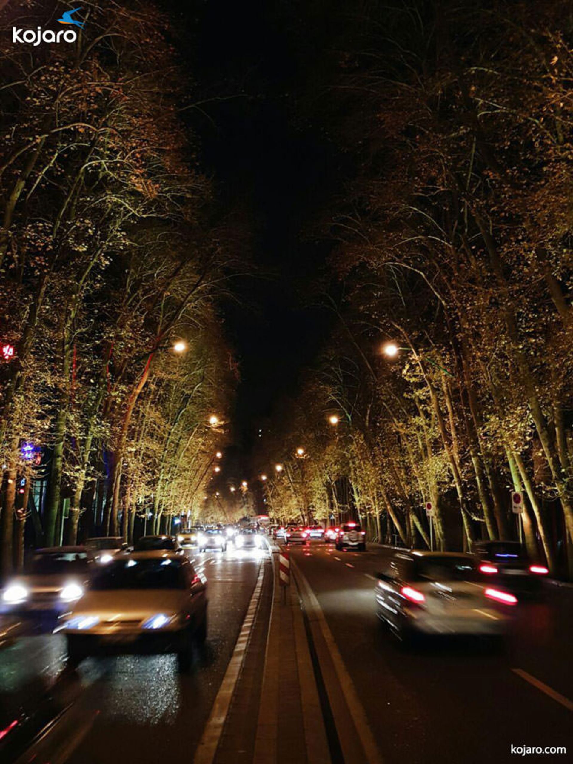 چنارهای خیابان ولیعصر