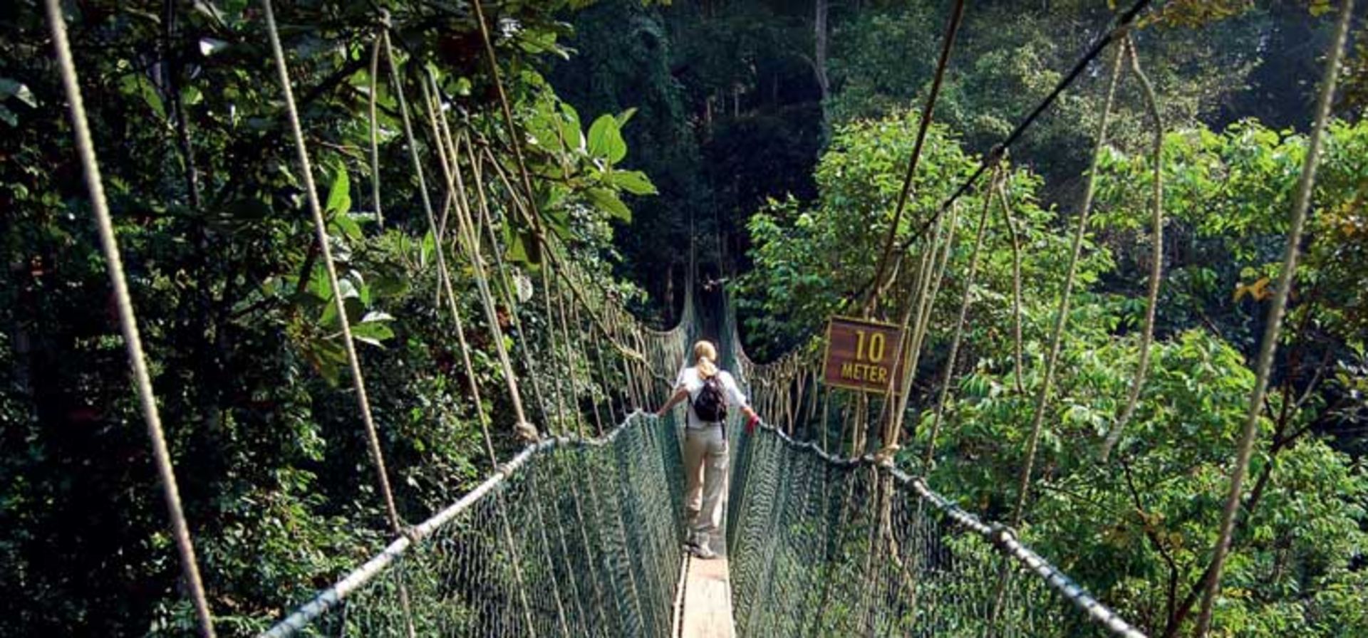 nationalpark-malaysia