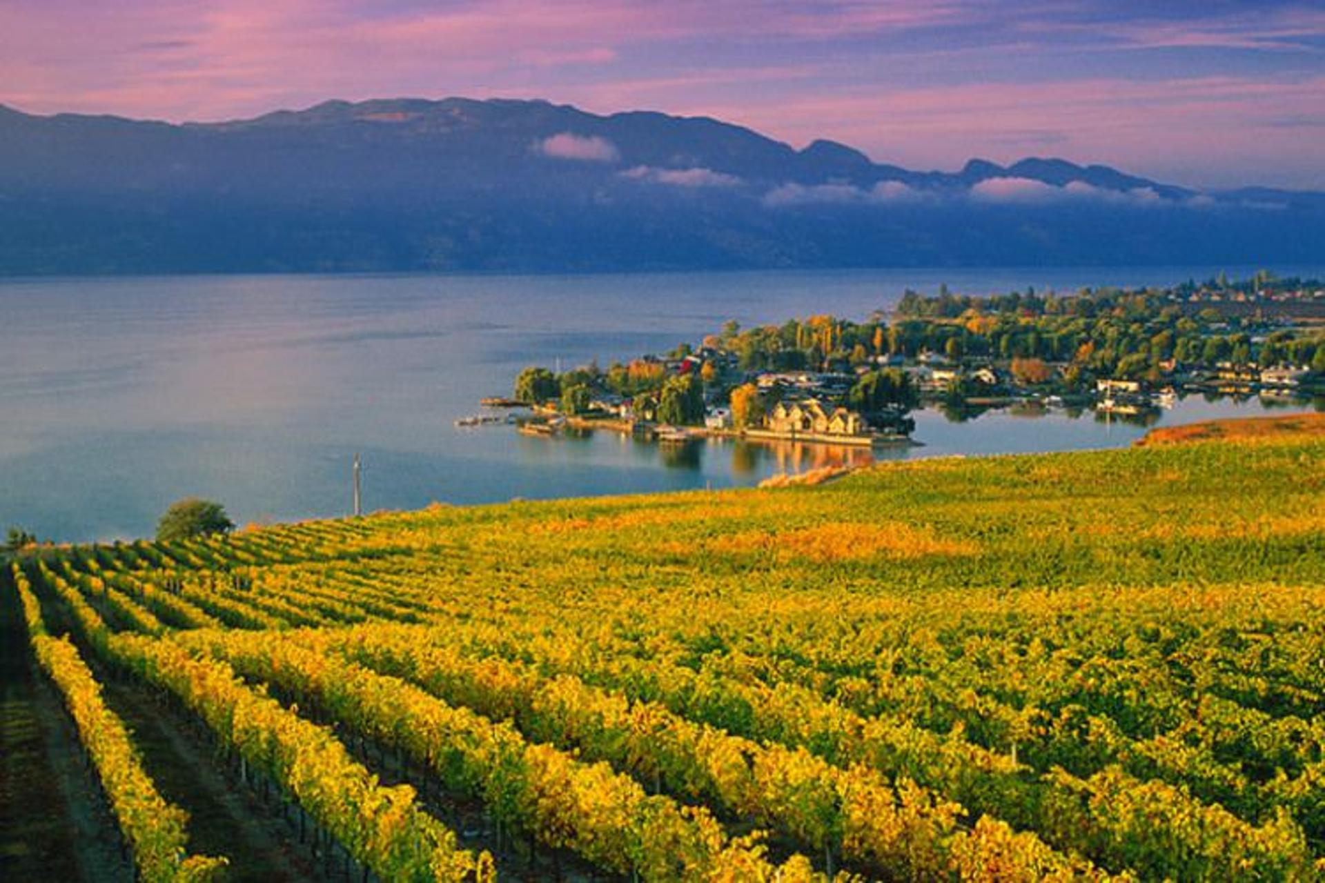 شهر کلونا (Kelowna