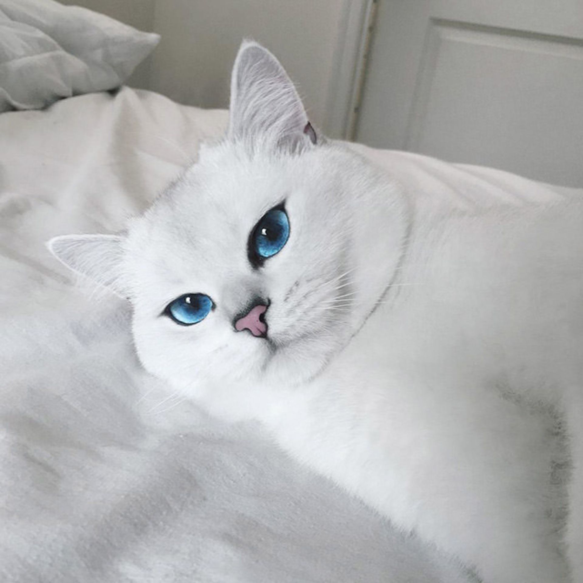 چشم های زیبای کابی