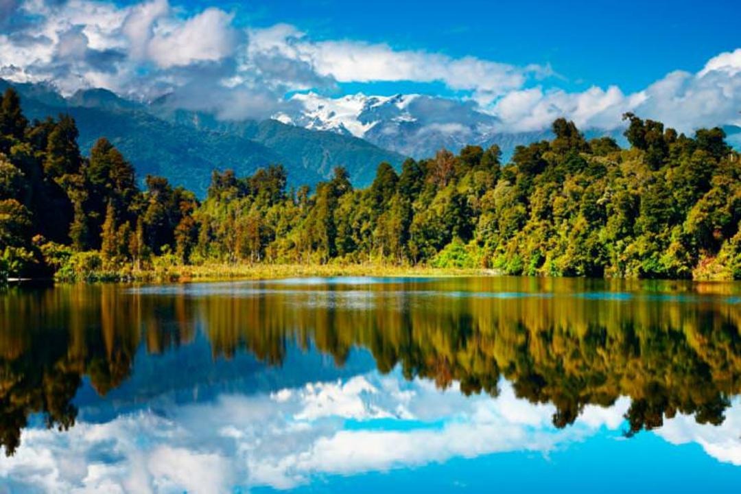 نیوزیلند