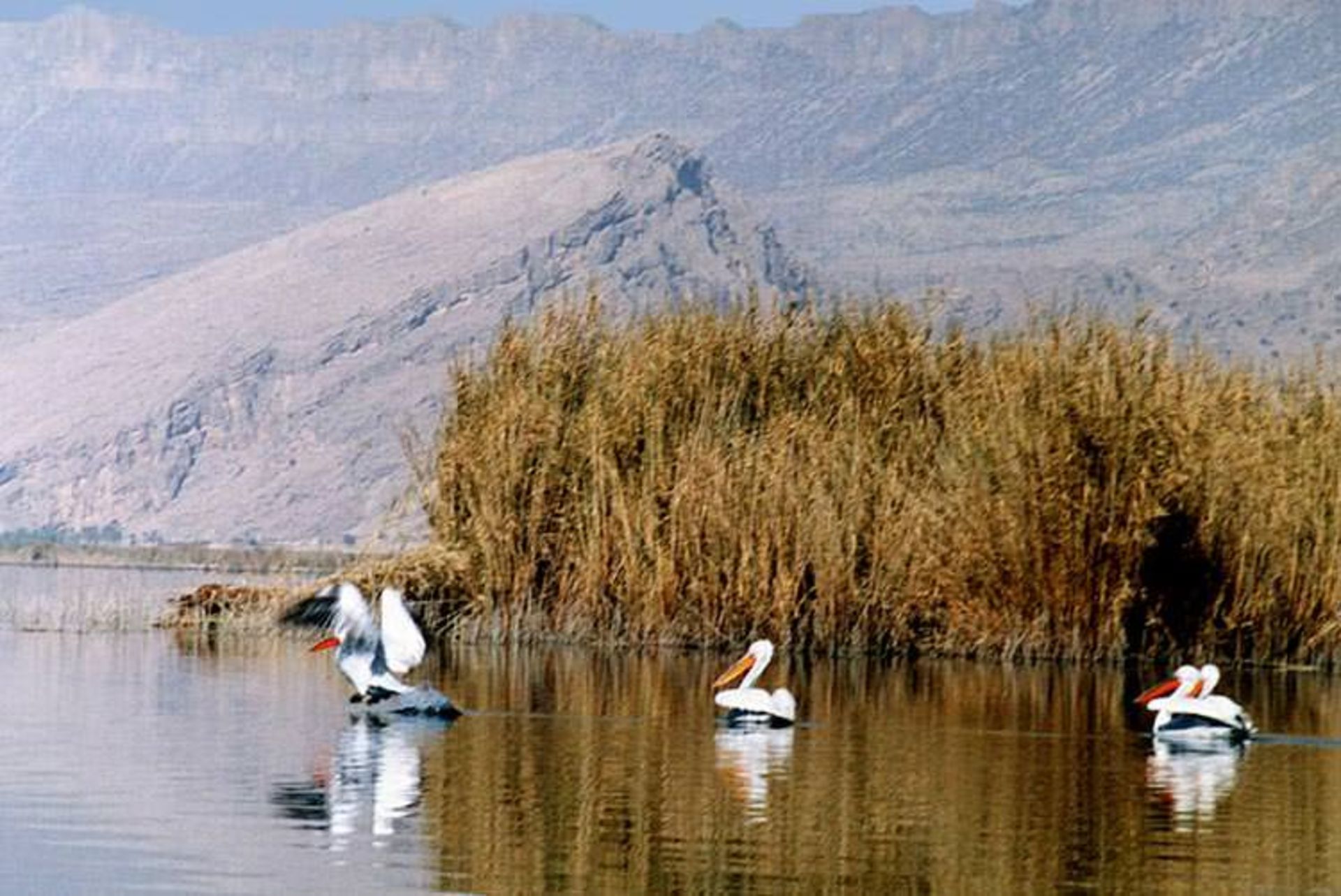 parishaan-lake-nature