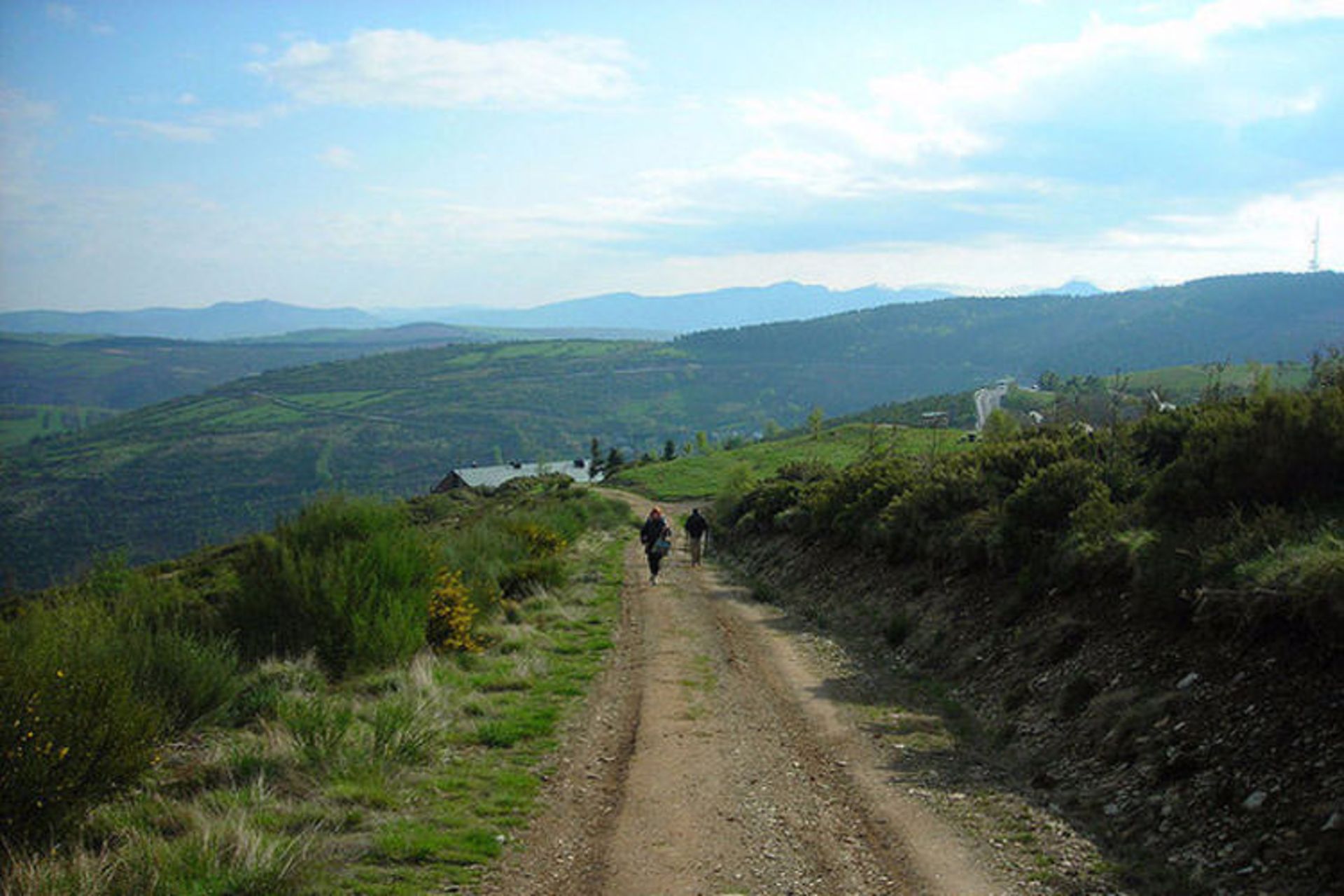 راه پیمایی 