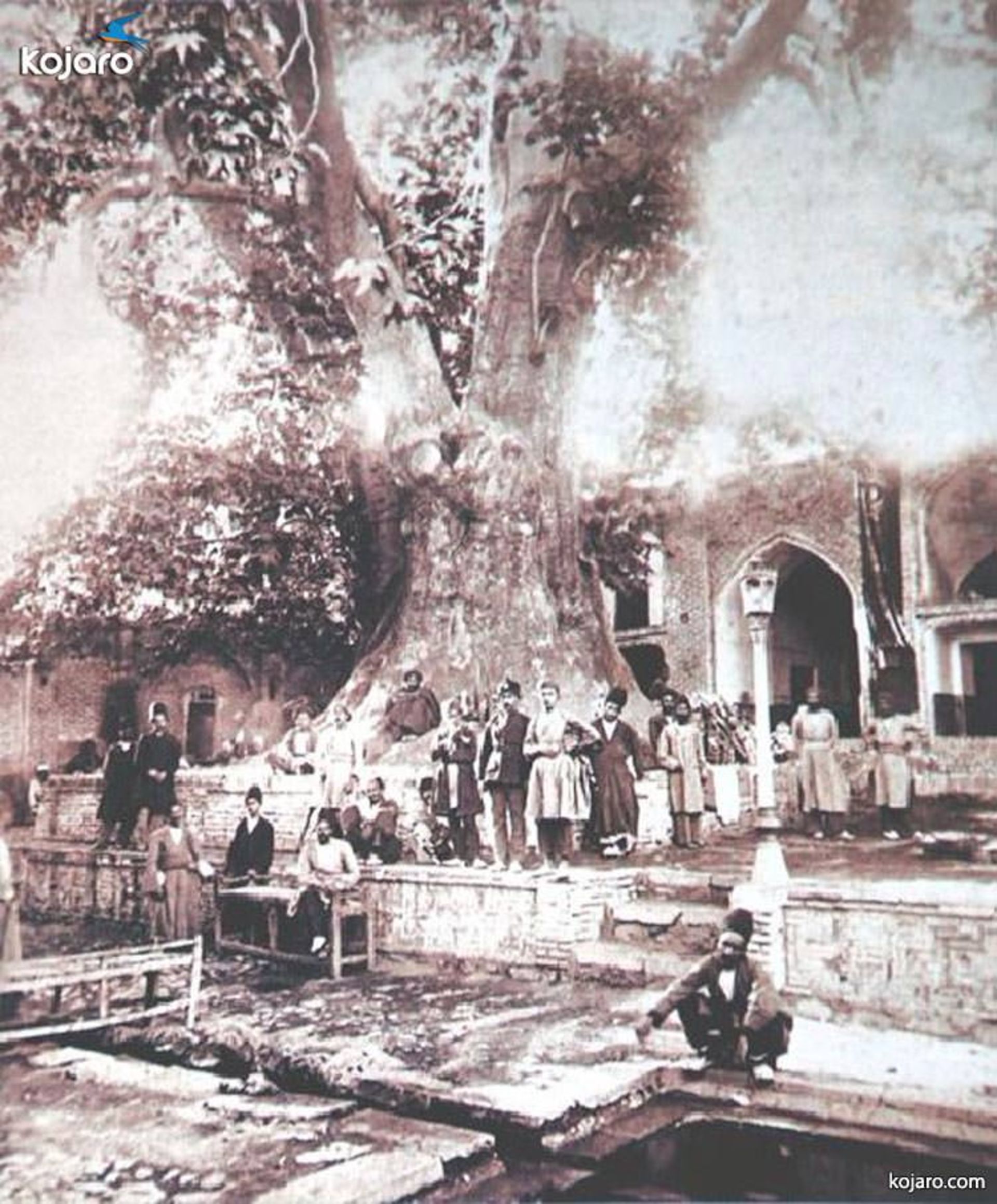 چنار تاریخی امامزاده صالح