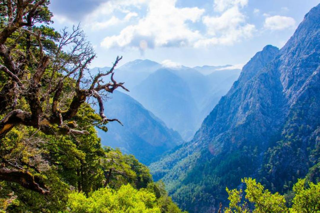 ژرف‌دره‌ی Samaria