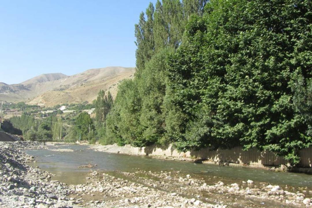 فشم