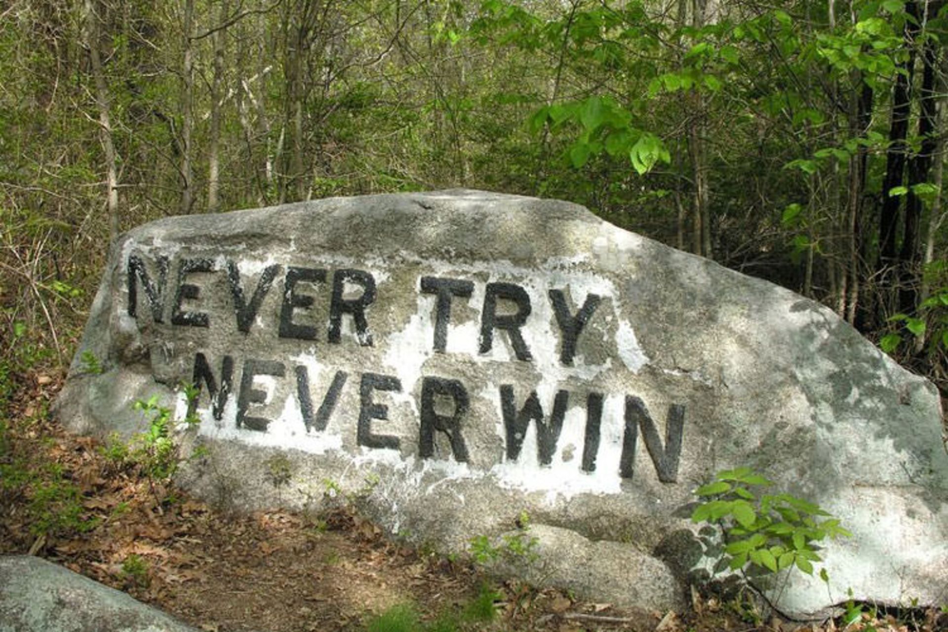 The Babson Boulders Of Dogtown