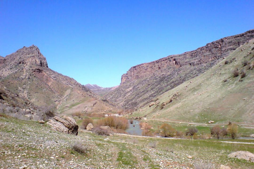 شط تمی