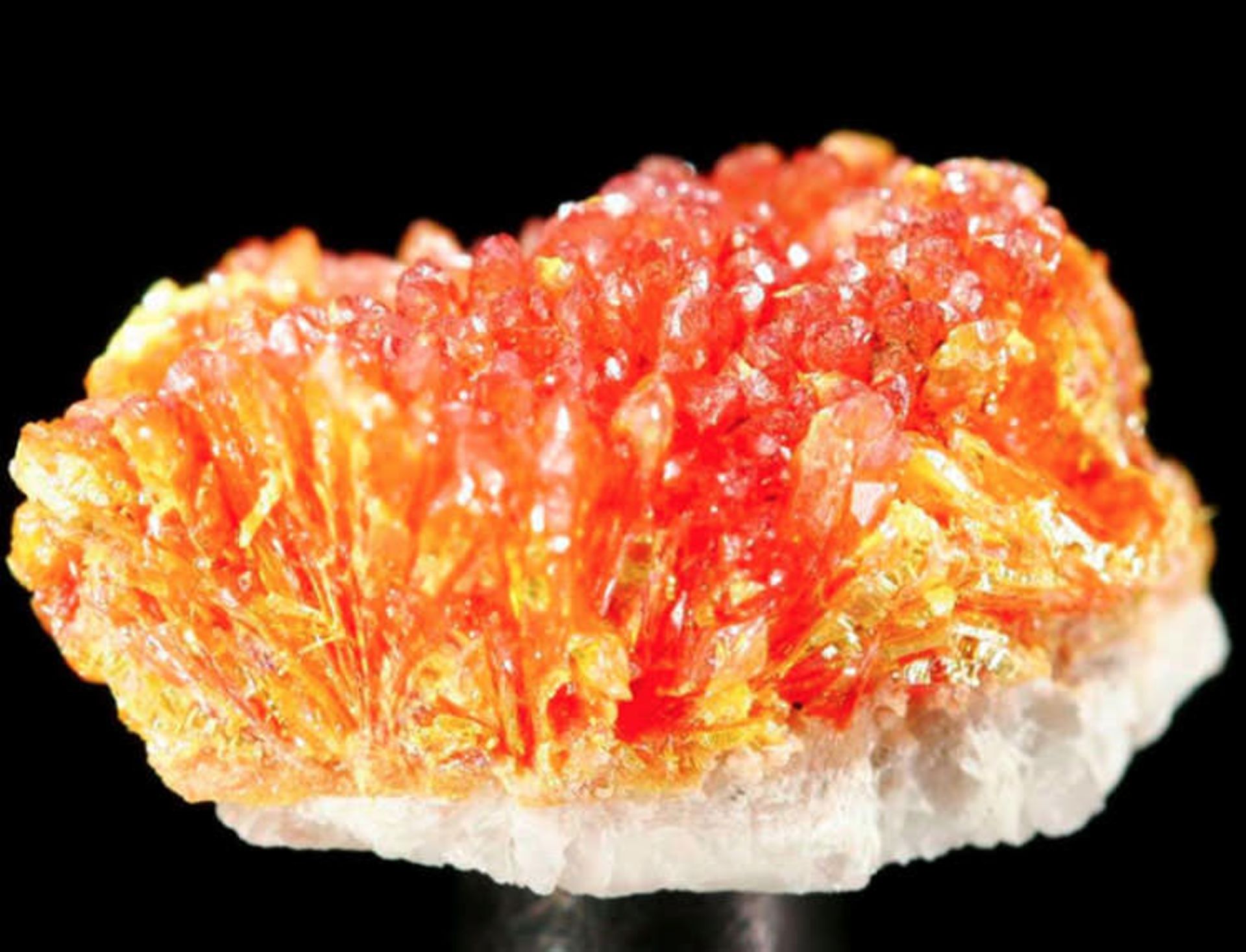 زرنیخ