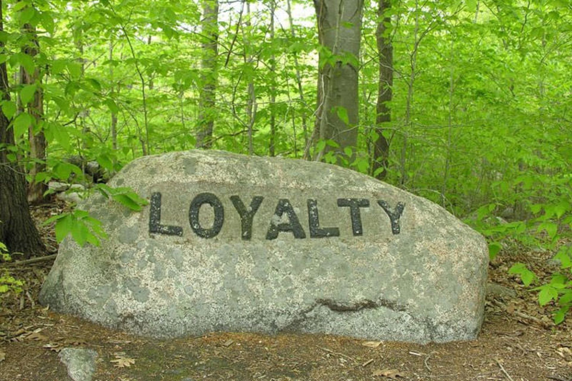 The Babson Boulders Of Dogtown