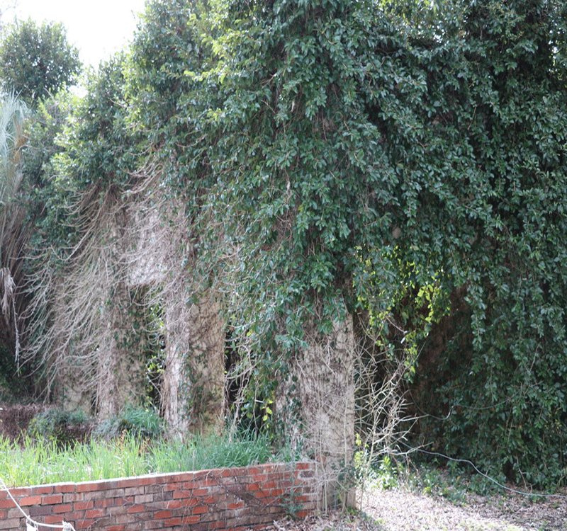 ویرانه عمارت درو