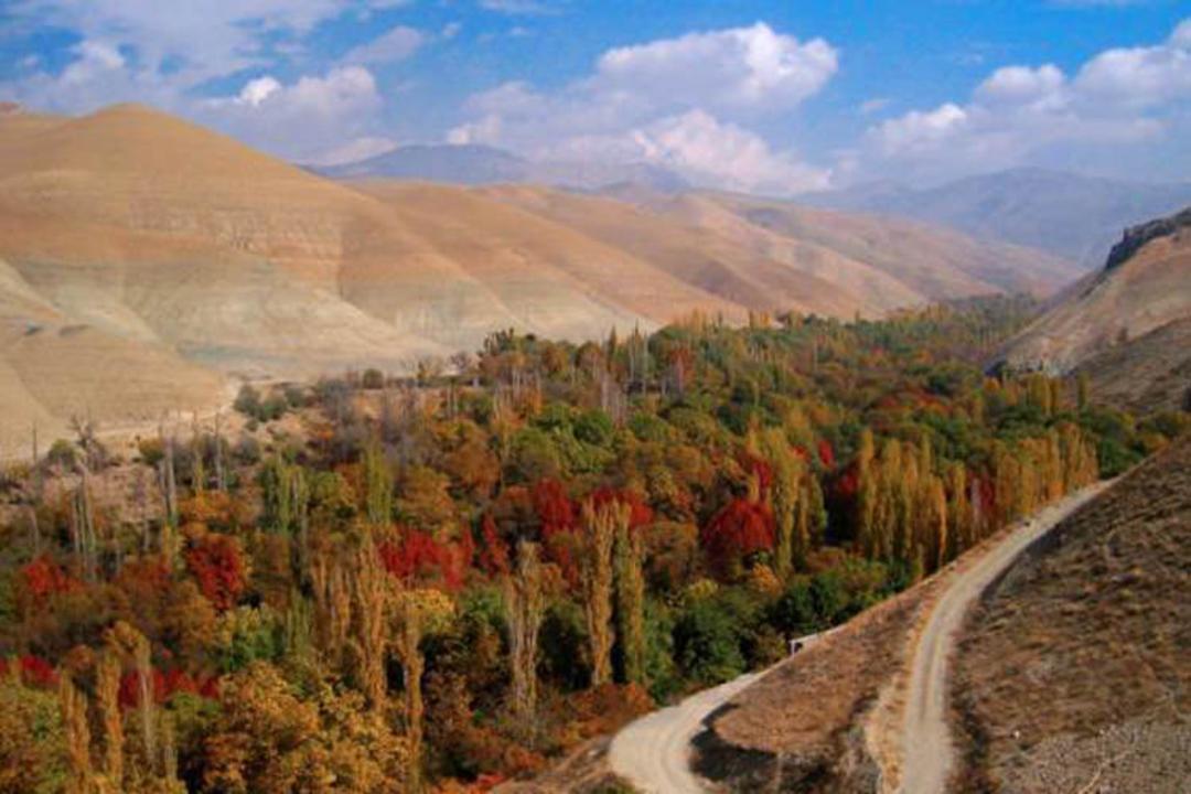 برغان