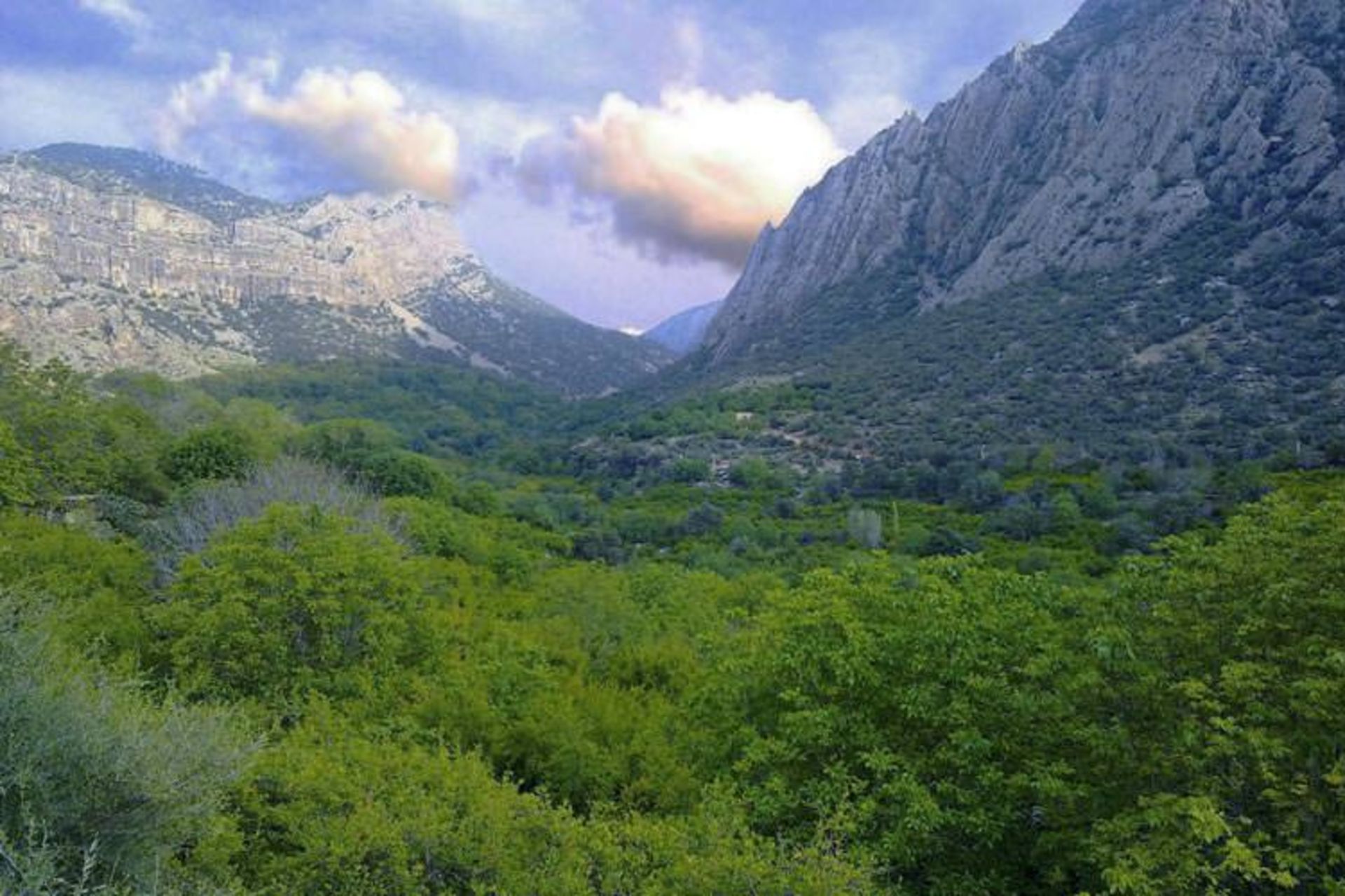 mamassani-nature