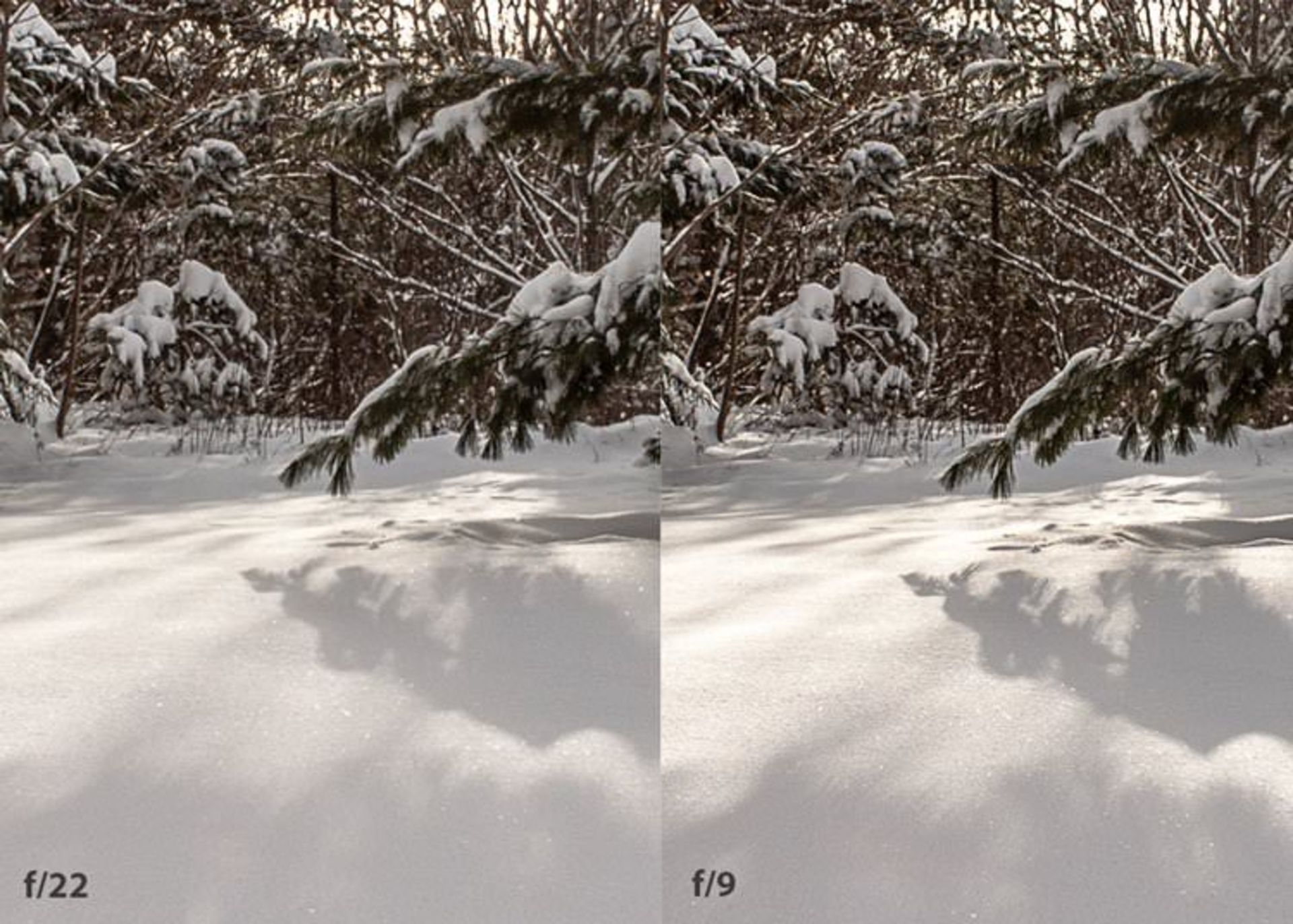sharpness-comparison