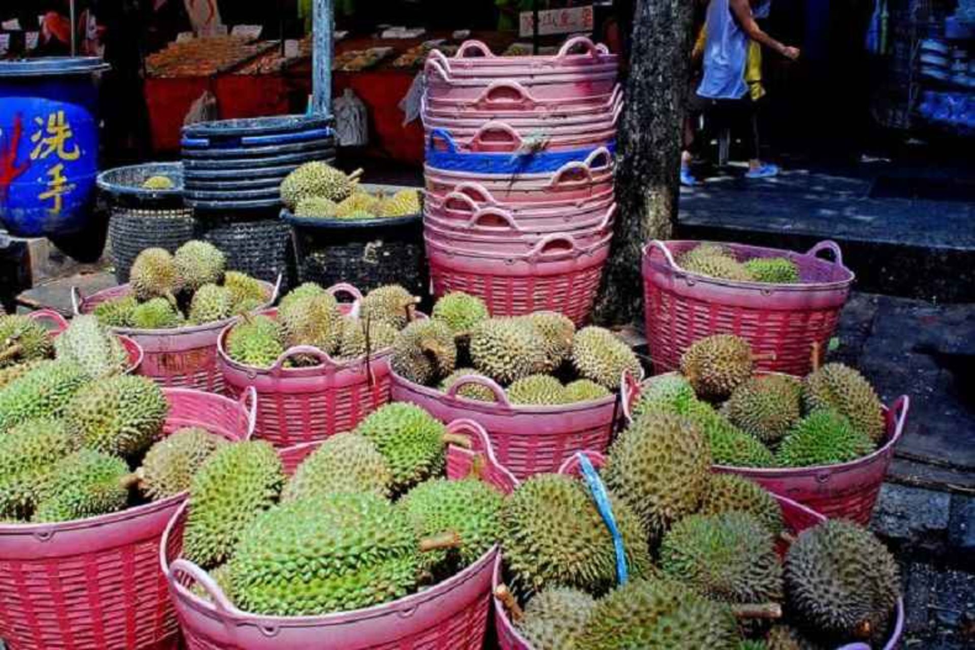 durian