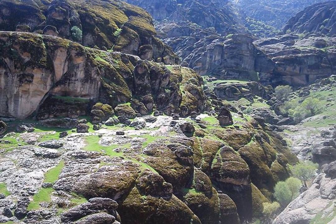 مخمل کوه