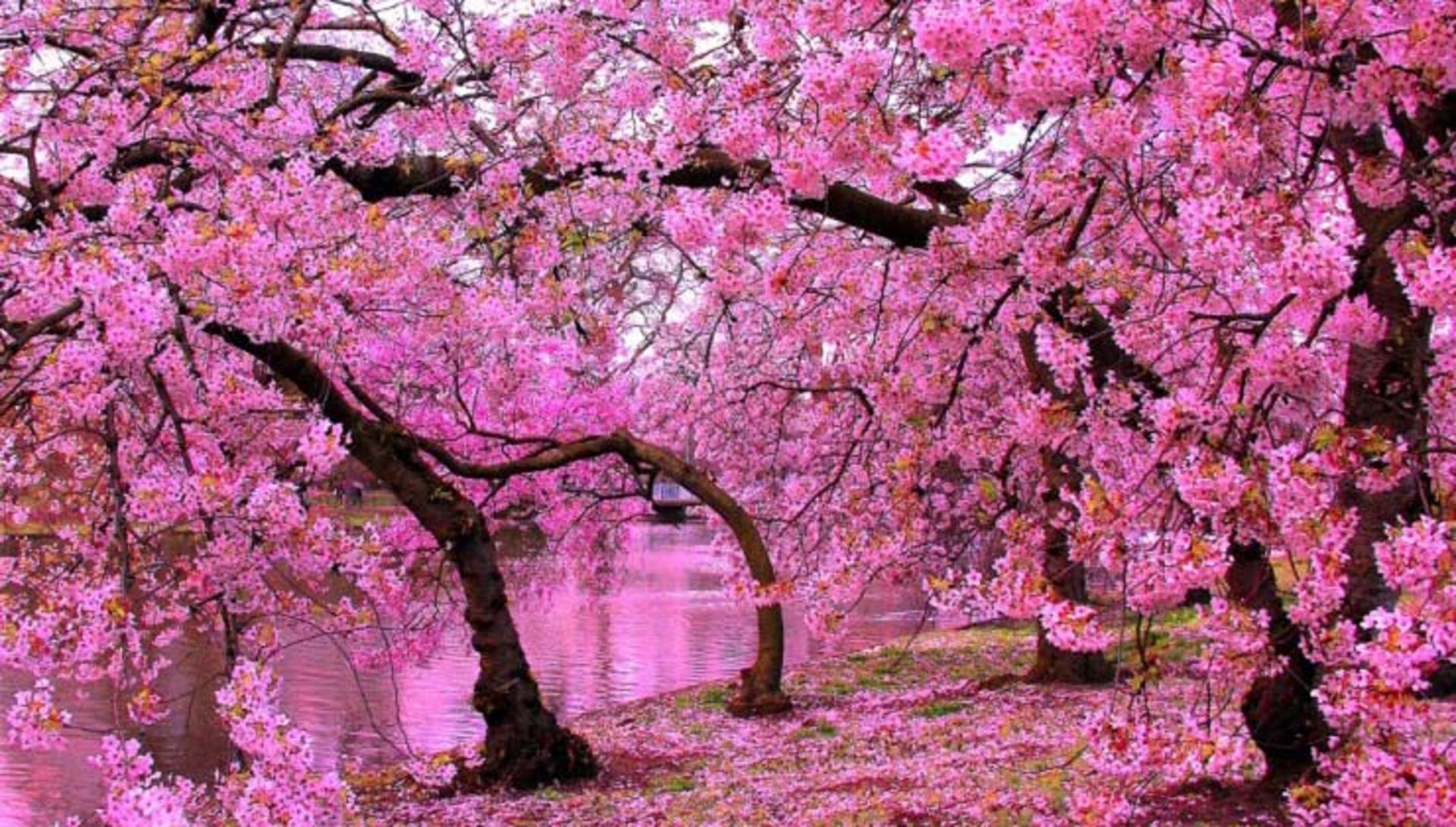 2016-3-06edd6f8-3bf2-41e0-9fd3-c79520568894