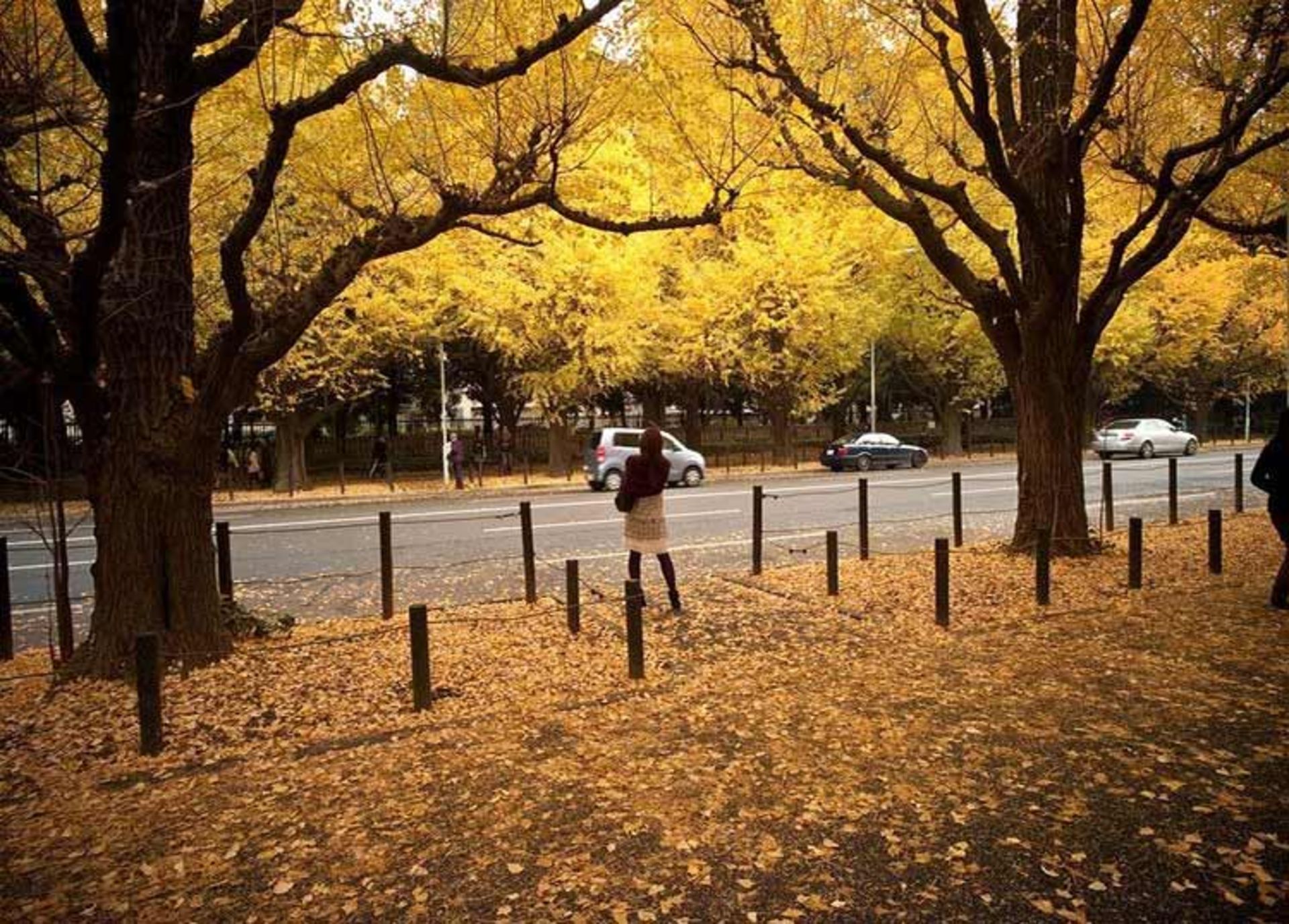 خیابان جینگو9