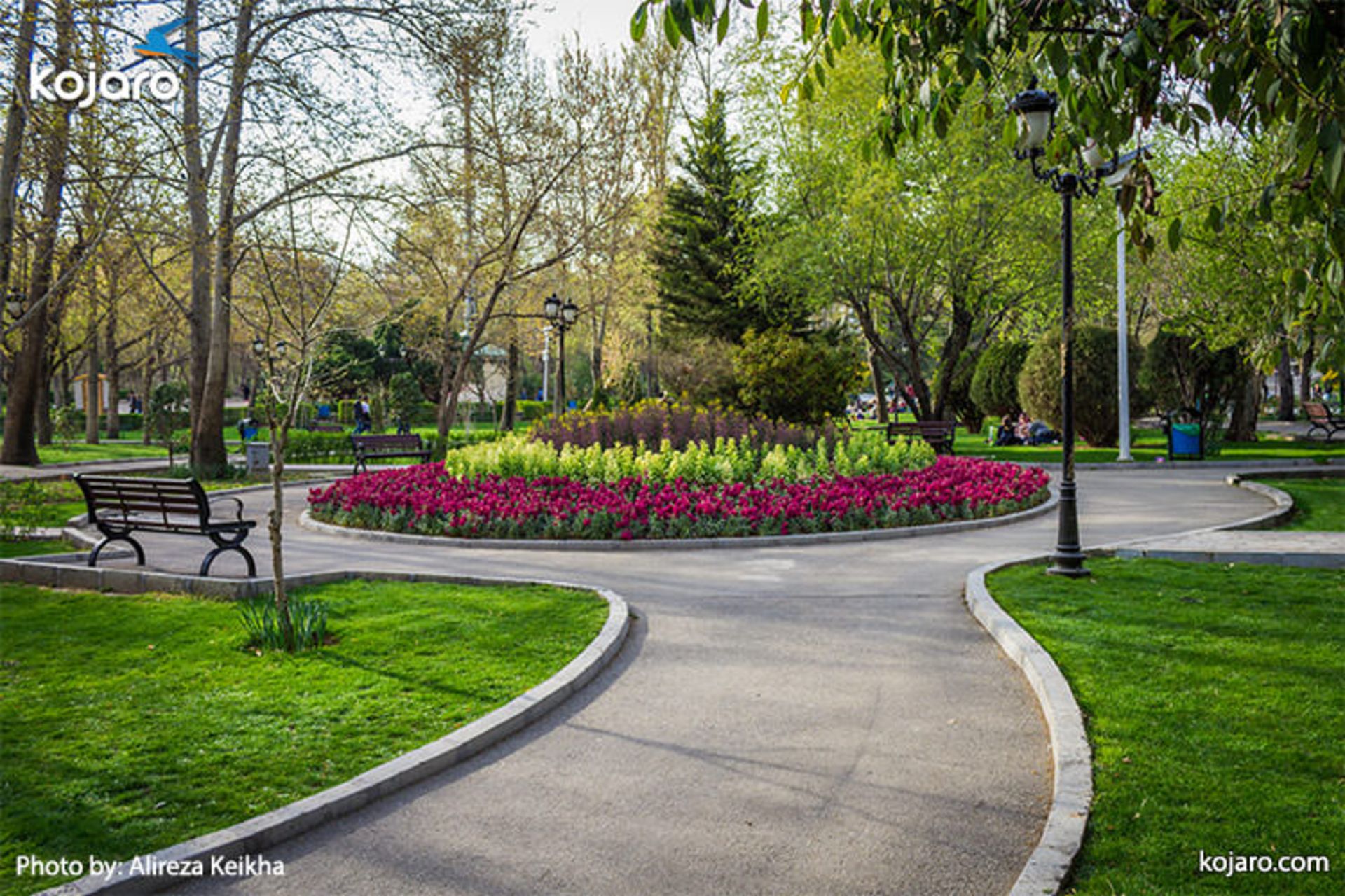 mellat-park-tulips