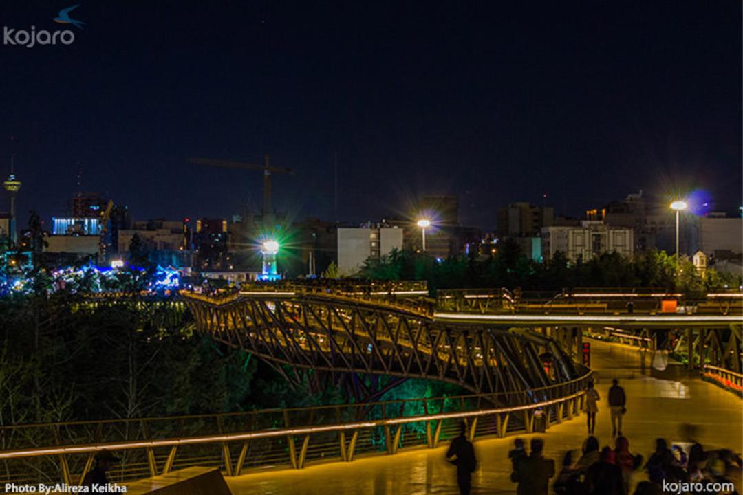 nature-bridge-tehran-earth-hour-2016