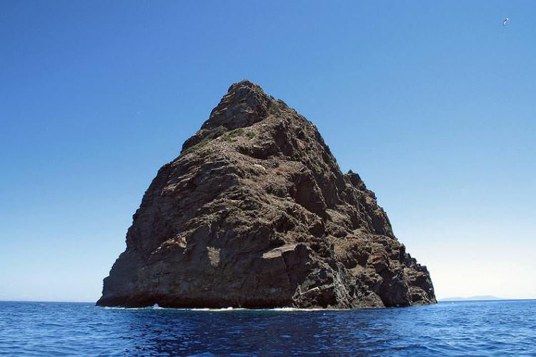 جزیره جابوکا