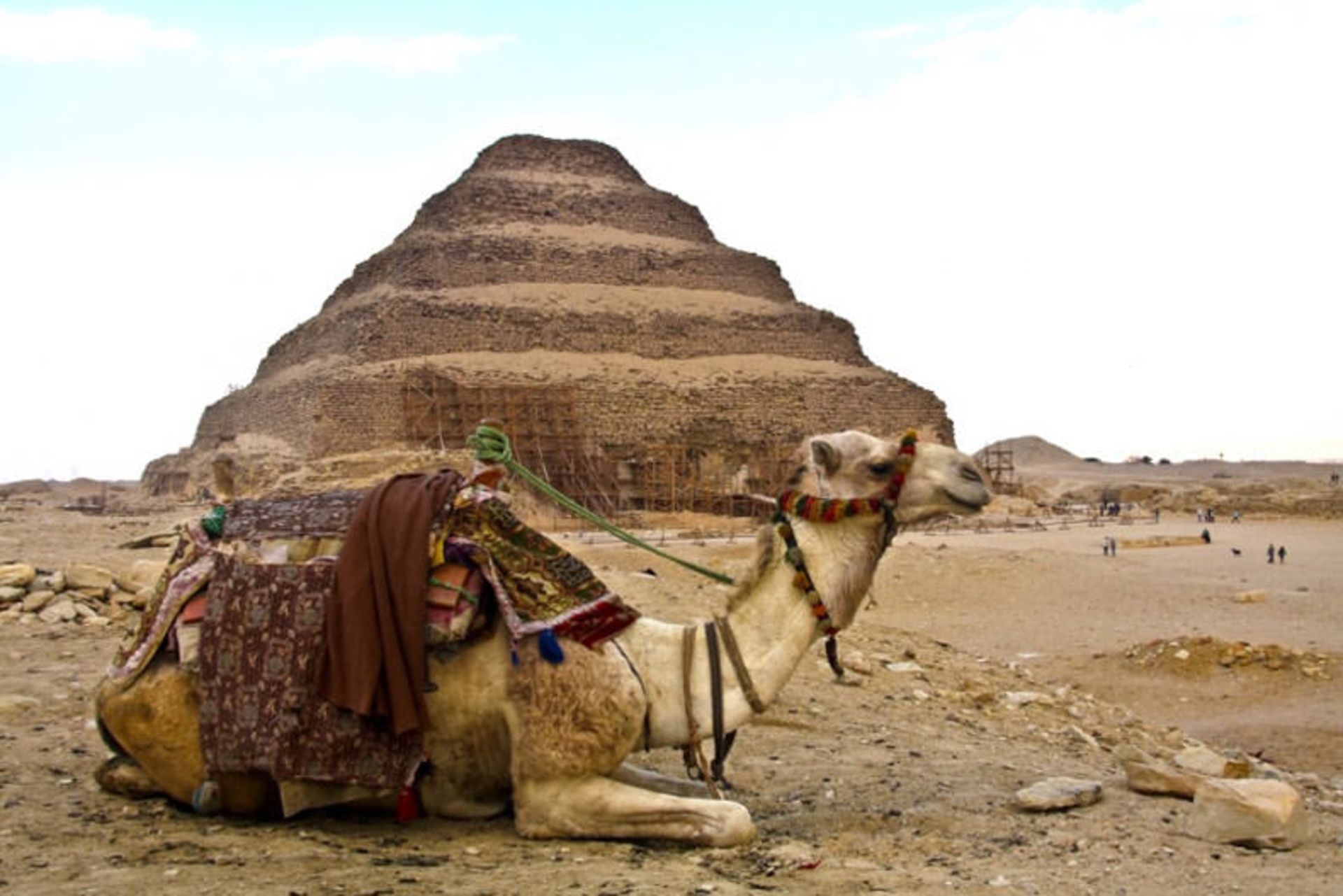 مصر