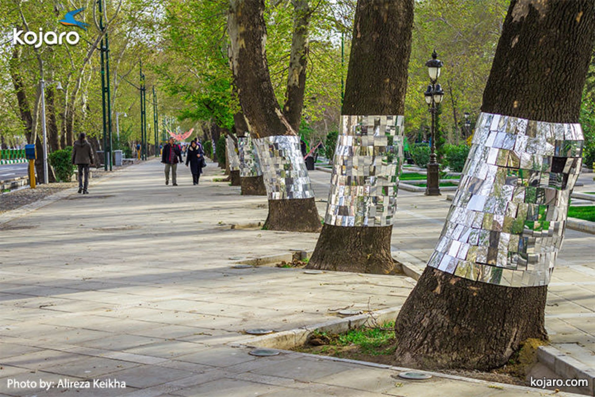 valiasr-trees-mirror-work