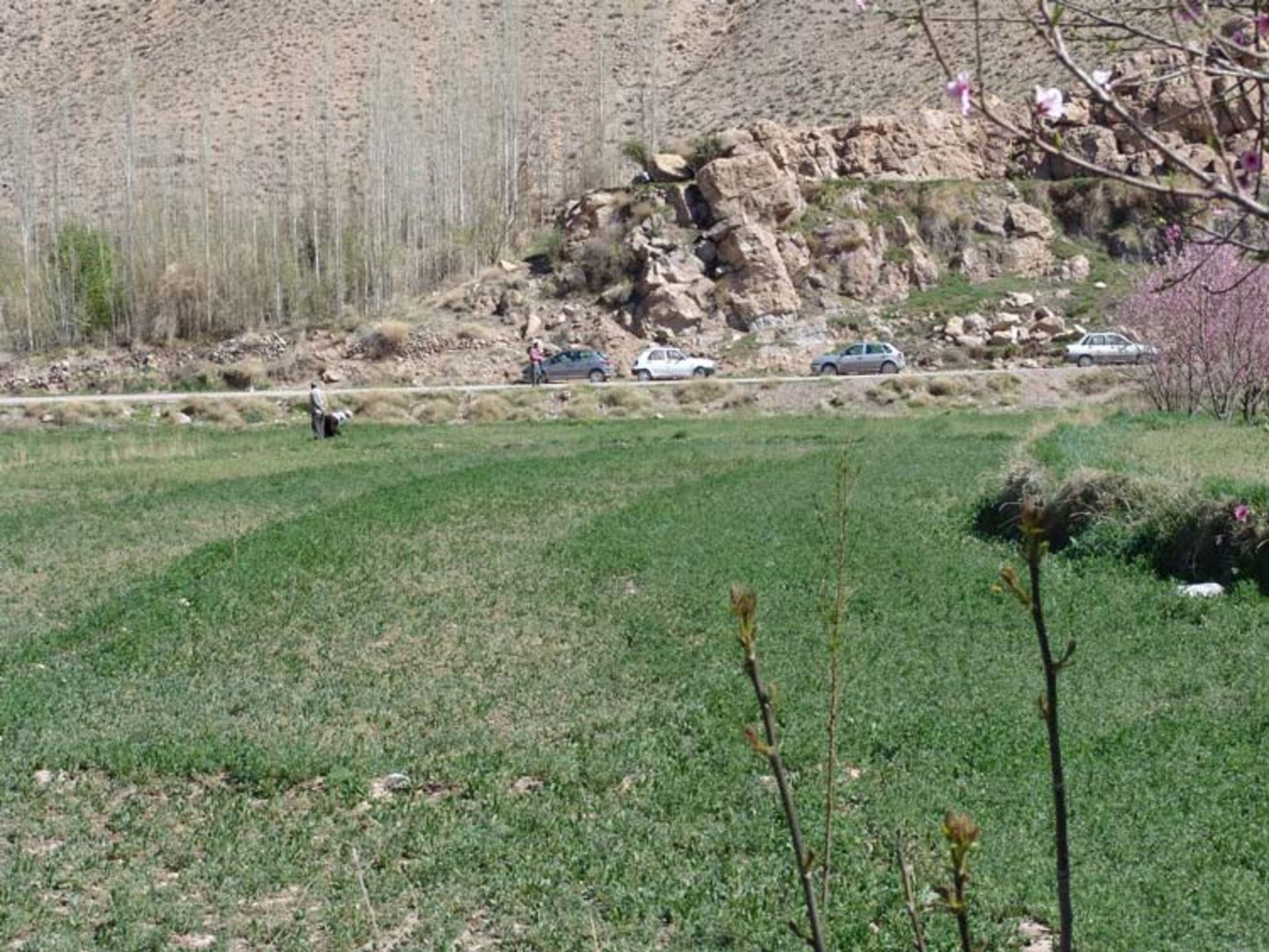 کوهپایه کرمان