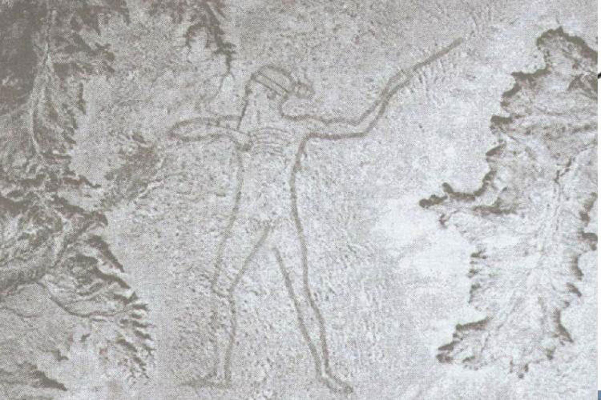 مرد غول پیکر