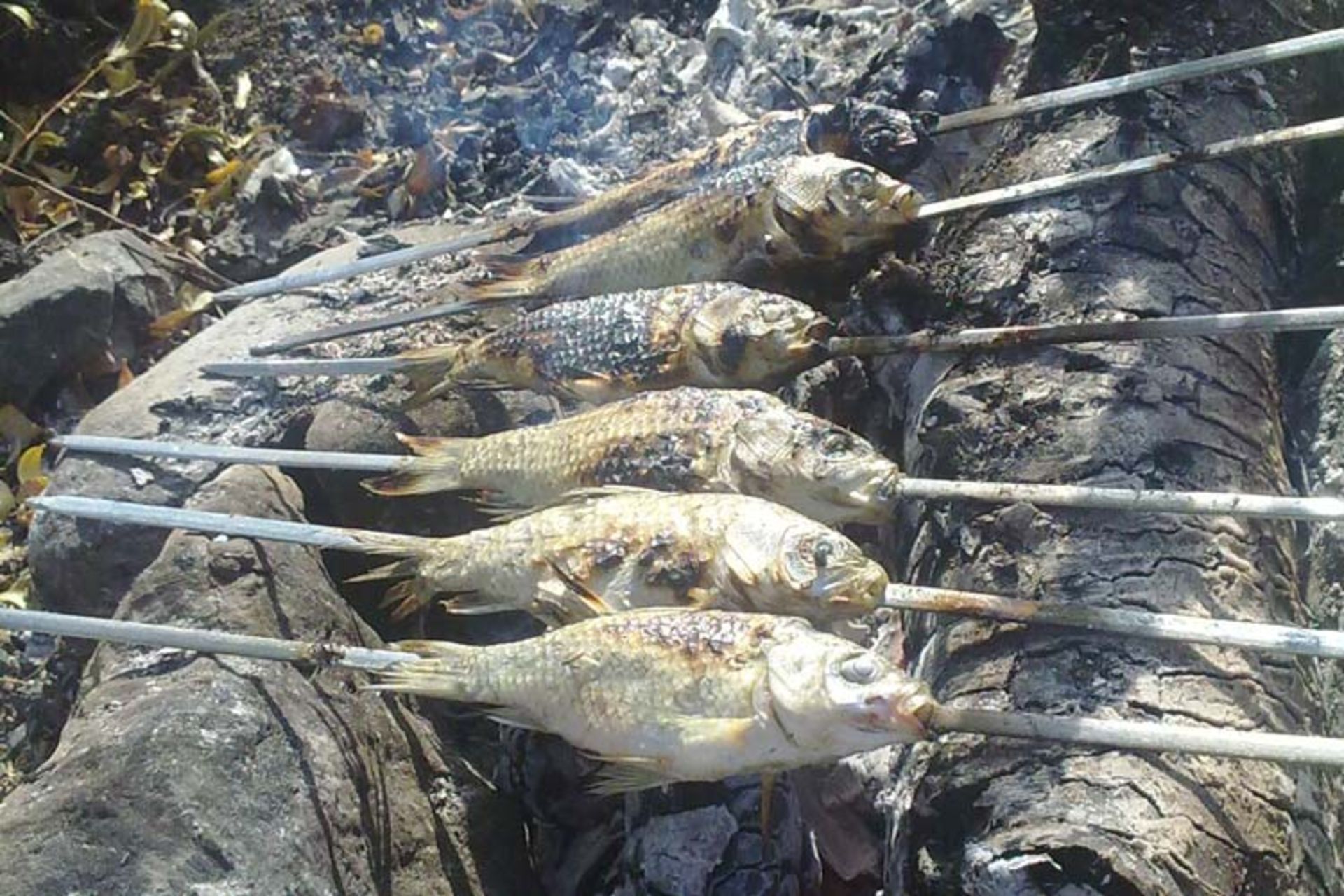 2016-3-6e5ecd40-1393-4610-a36d-bba036b92e4e