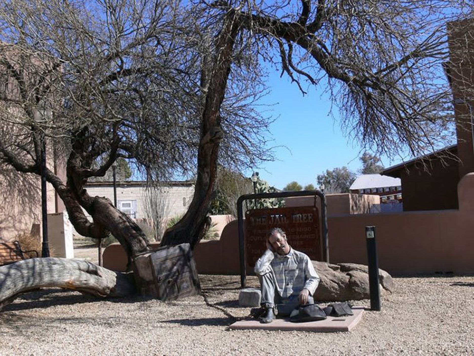 درخت زندان ویکنبرگ