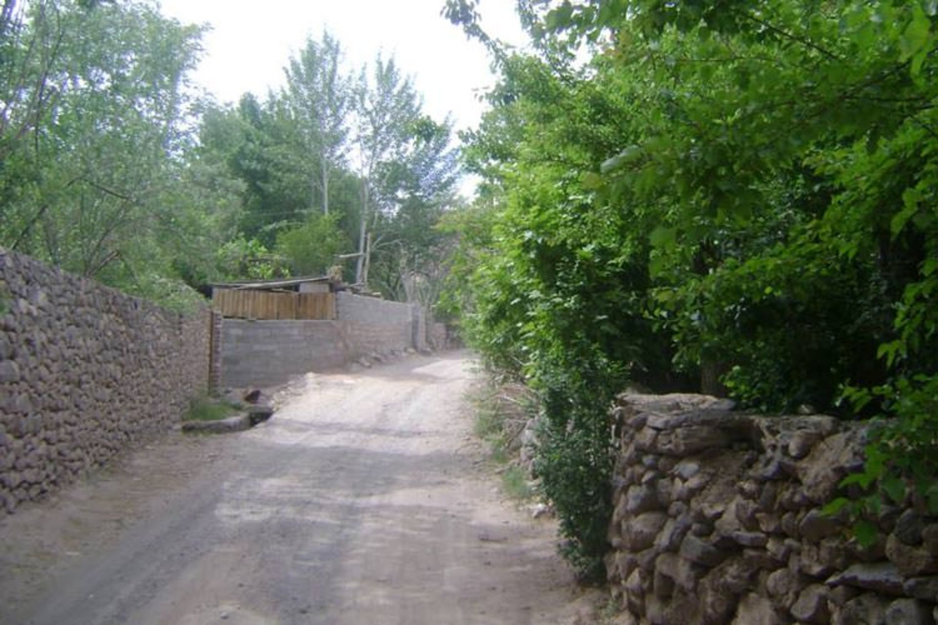 کوچه باغ های وامق آباد